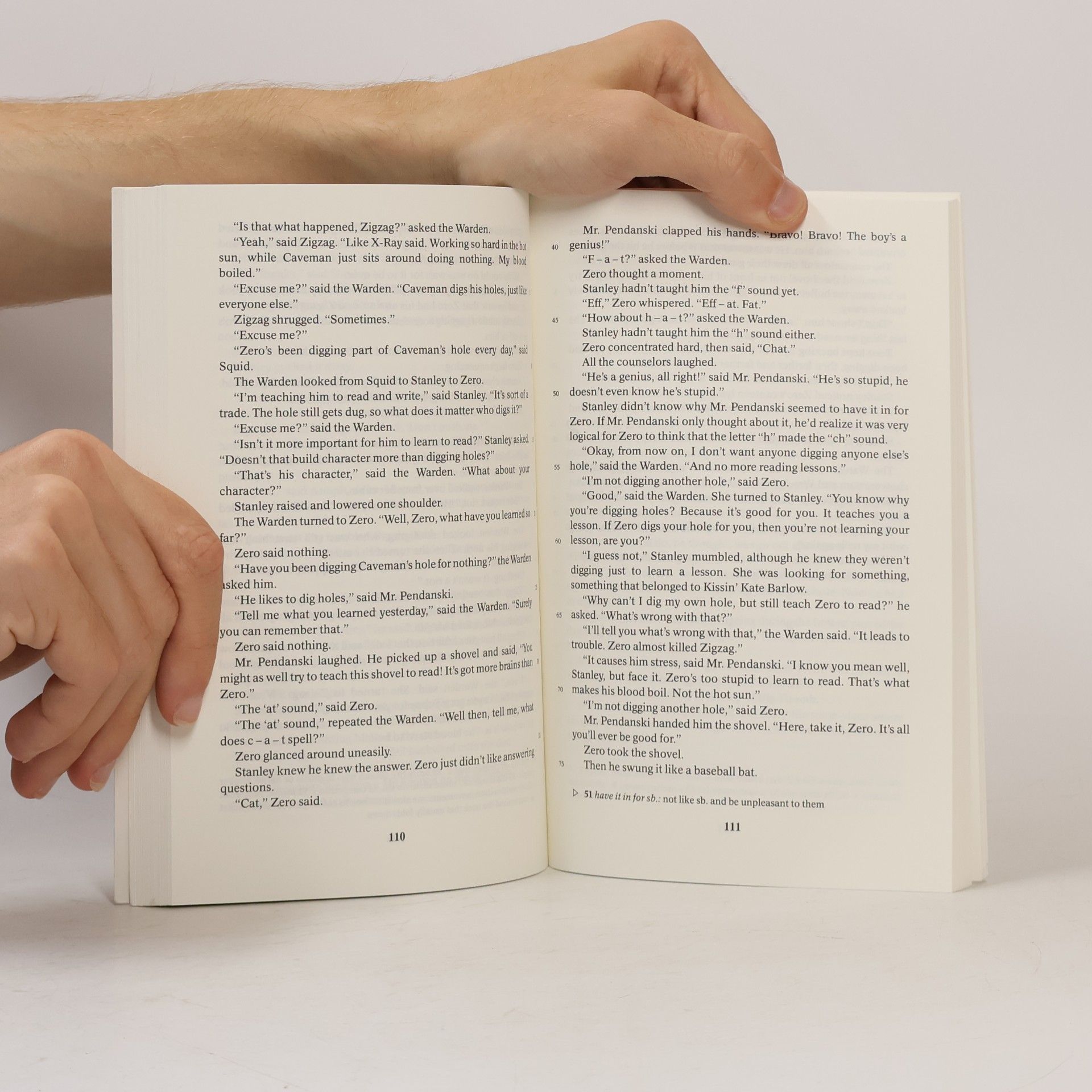 Louis Sachar Holes
