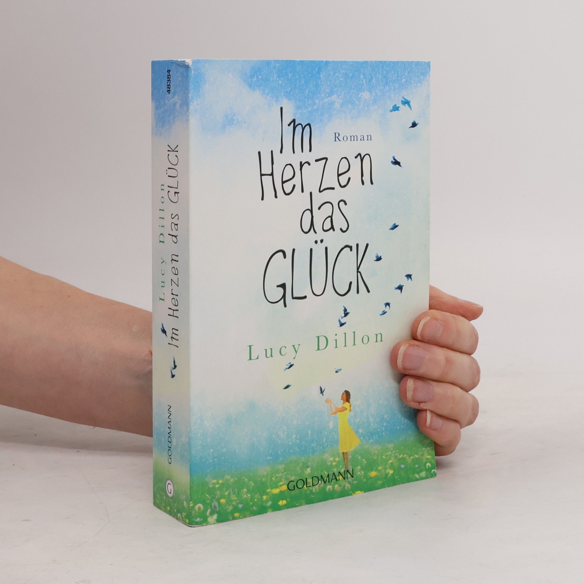 Lucy Dillon Im Herzen das Glück