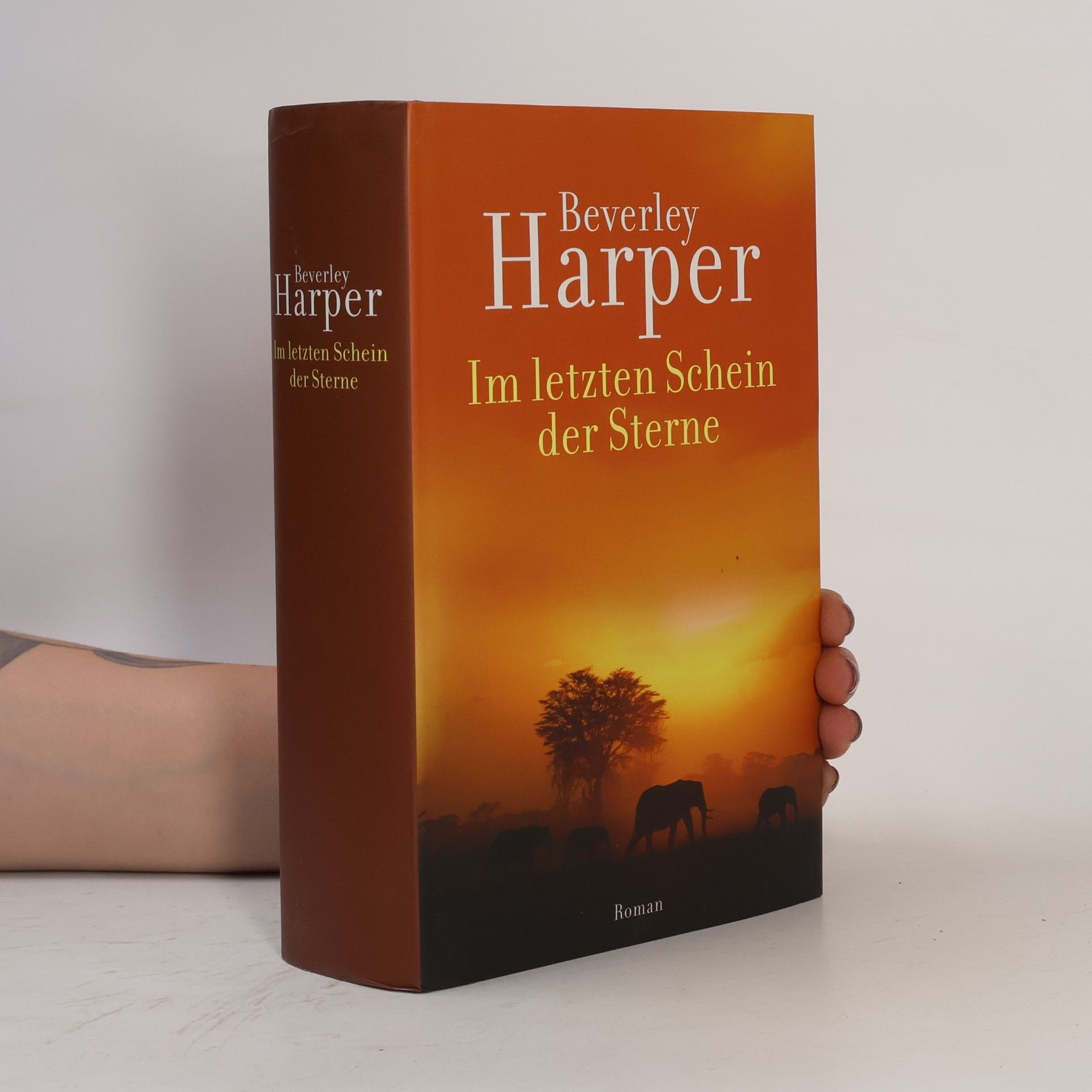 Beverley Harper Im letzten Schein der Sterne