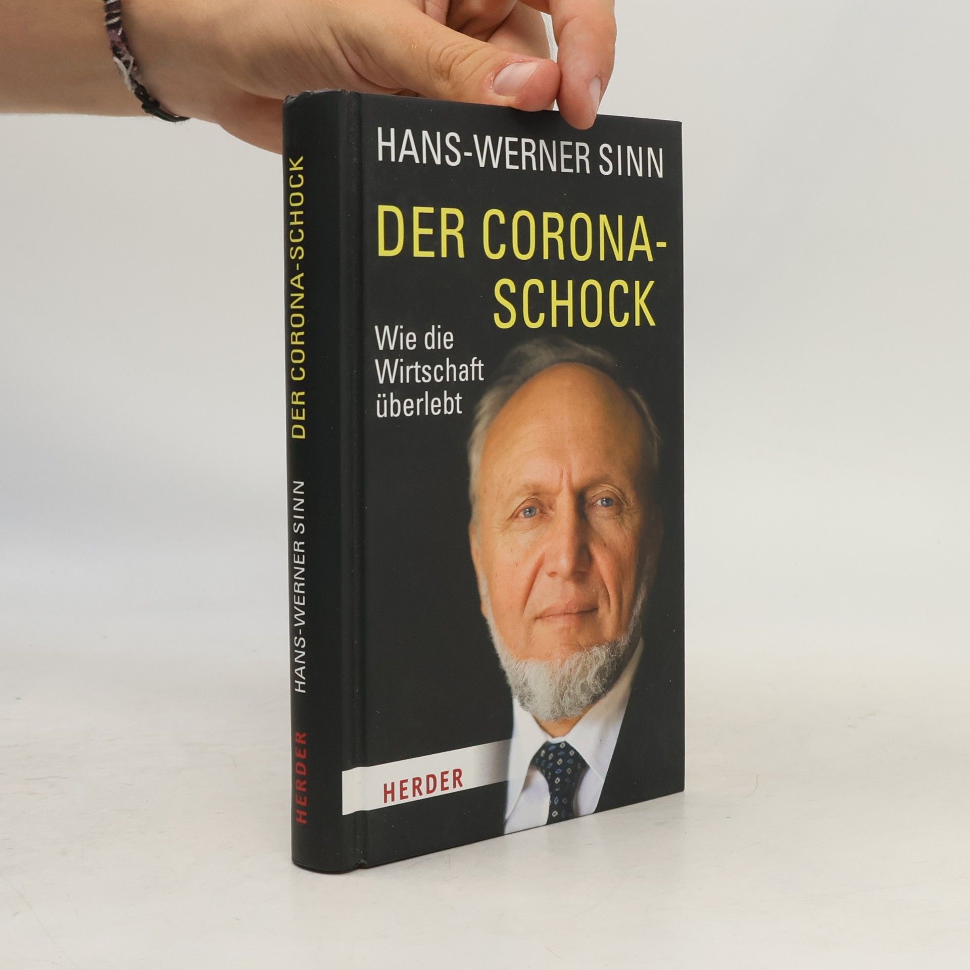 Werner Sinn Der Corona-Schock