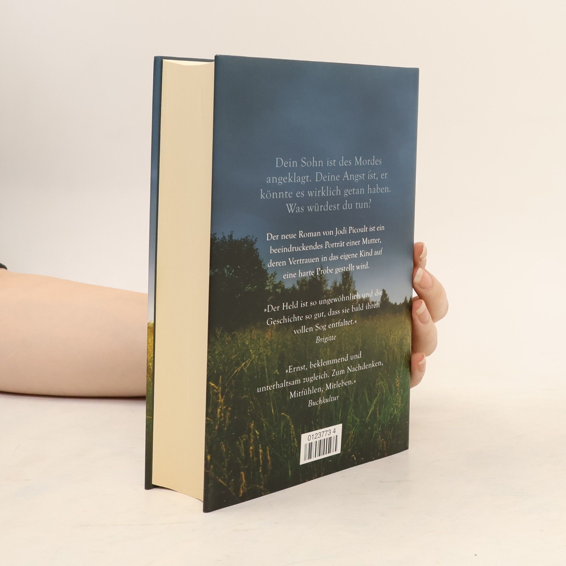 Jodi Picoult In den Augen der Anderen