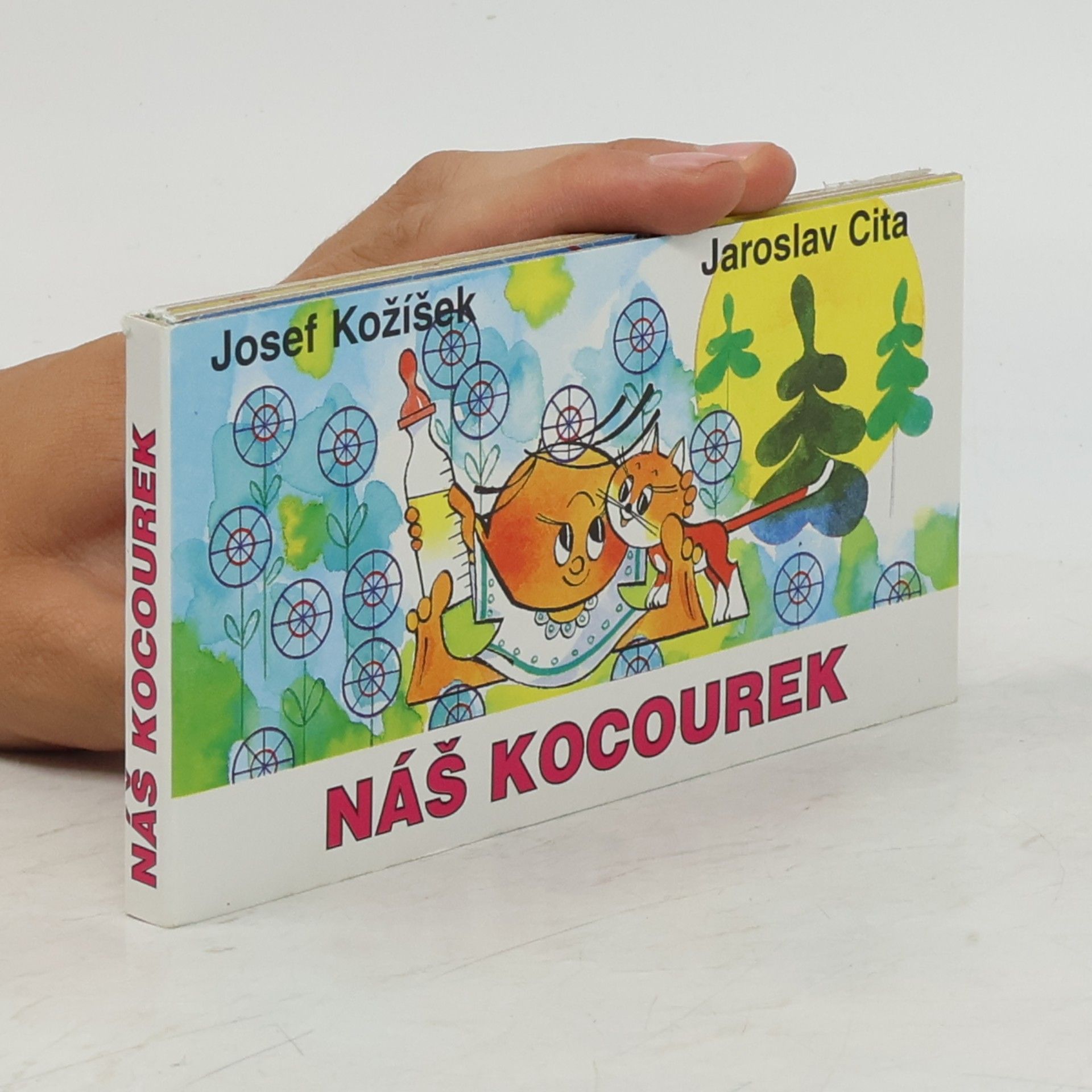 Náš kocourek