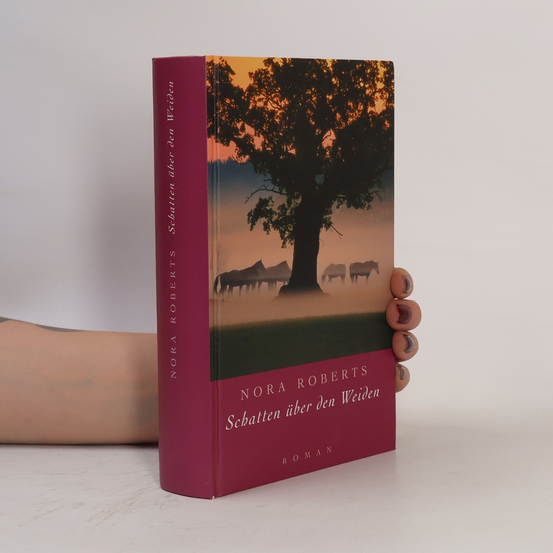 Nora Roberts Schatten über den Weiden