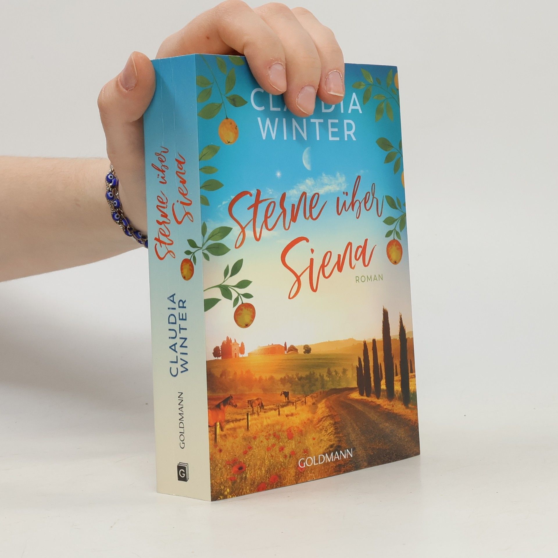 Claudia Winter Sterne über Siena