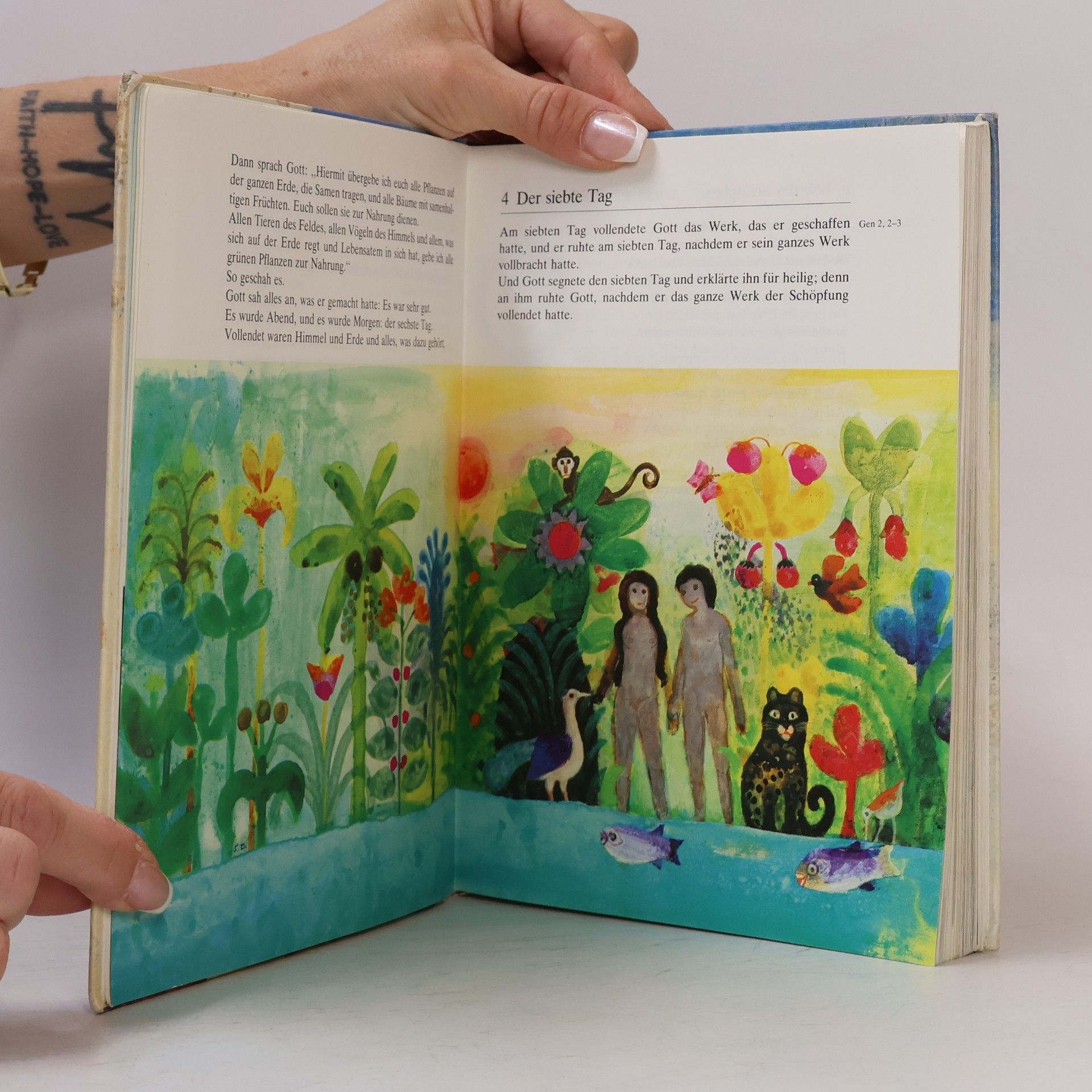 Deutschen Bischofskonferenz Bibel für die Grundschule