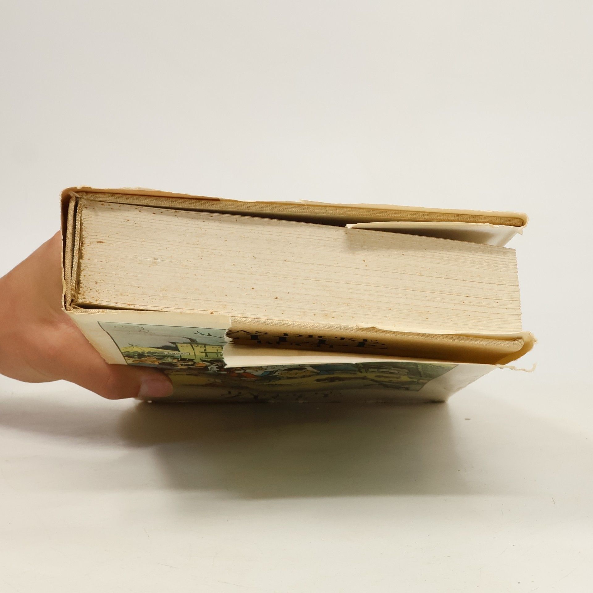 Heinrich Zille Das dicke Zille-Buch
