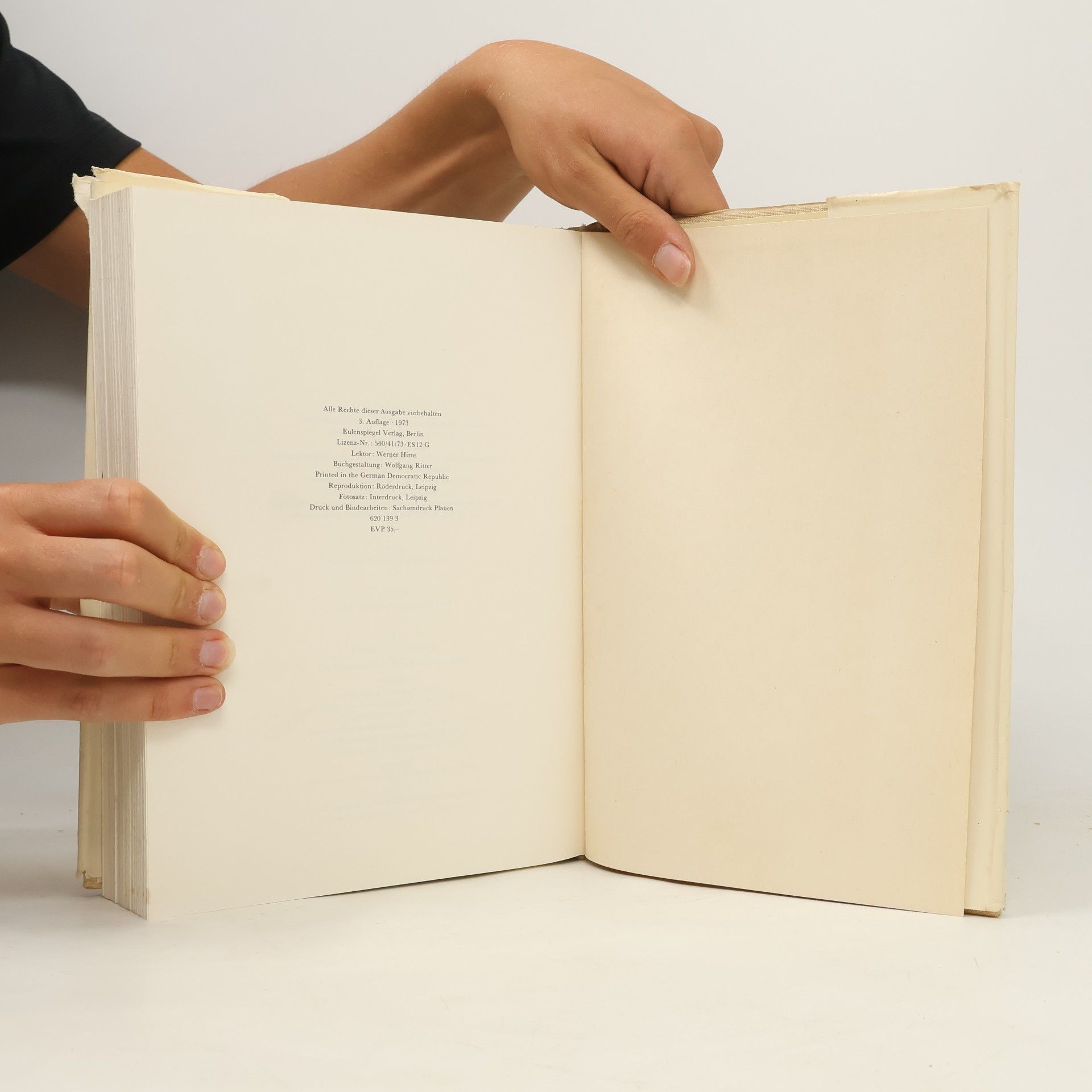 Heinrich Zille Das dicke Zille-Buch
