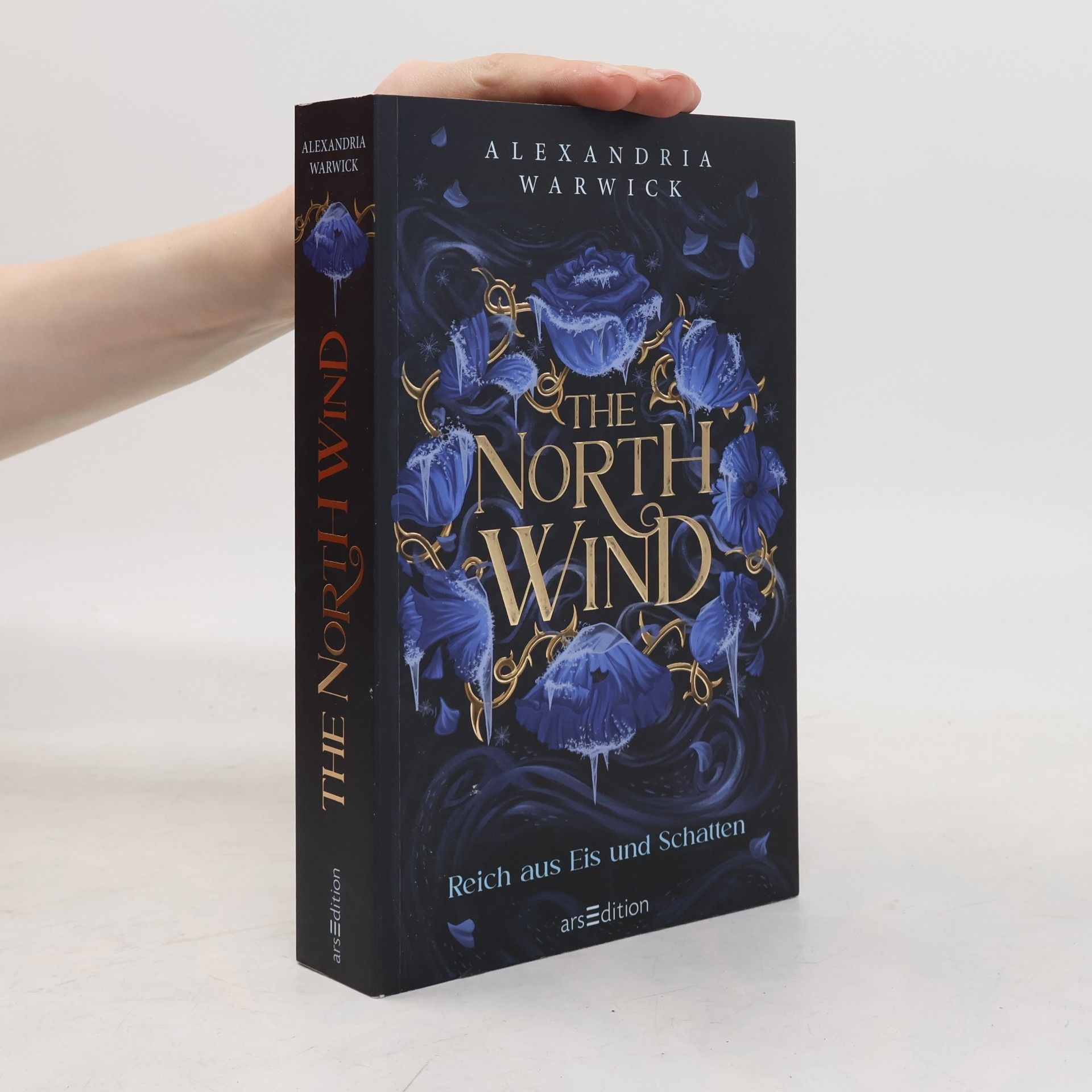 Alexandria Warwick The North Wind - Reich aus Eis und Schatten