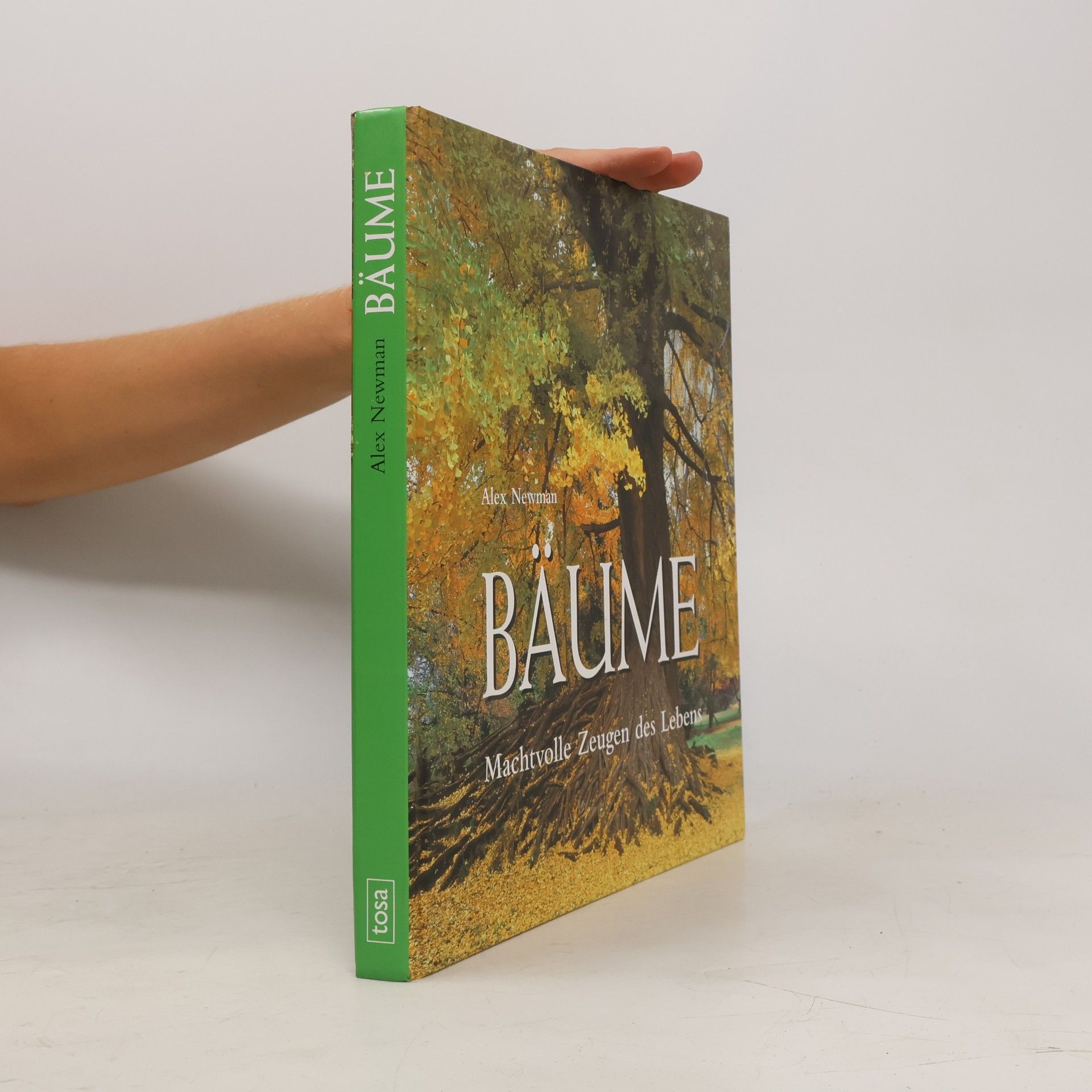 Bäume