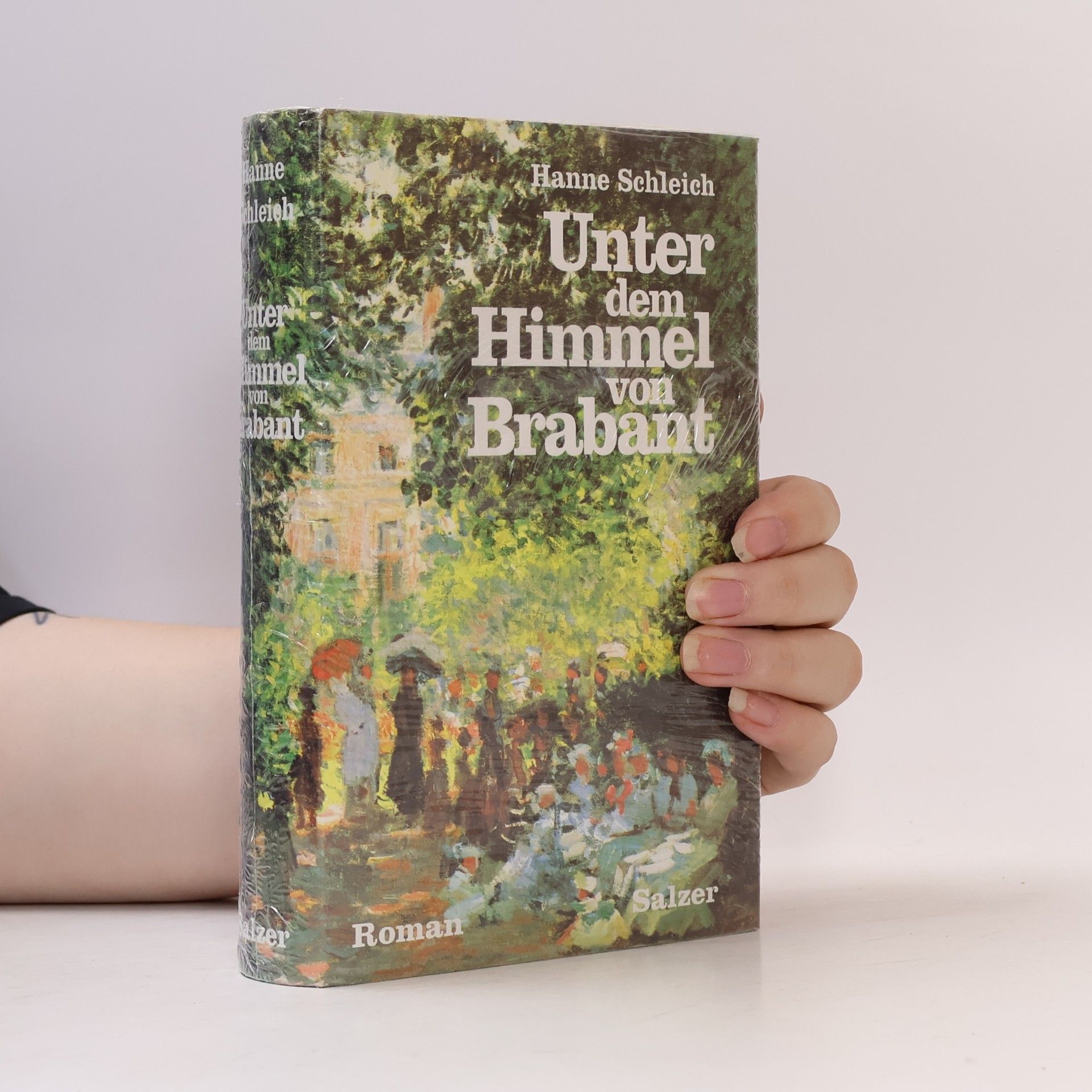 Hanne Schleich Unter dem Himmel von Brabant