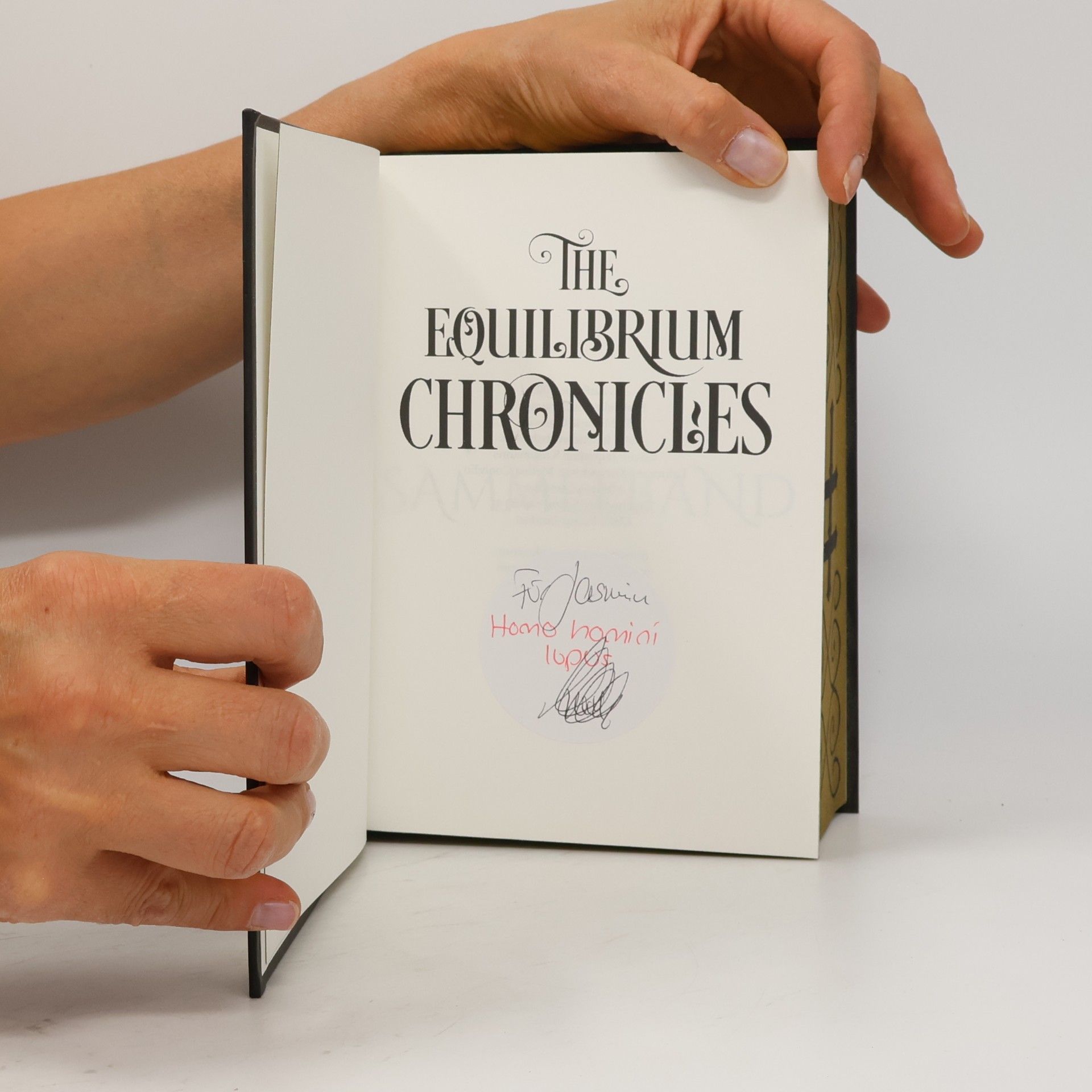 Melanie Gurenko The Equilibrium Chronicles