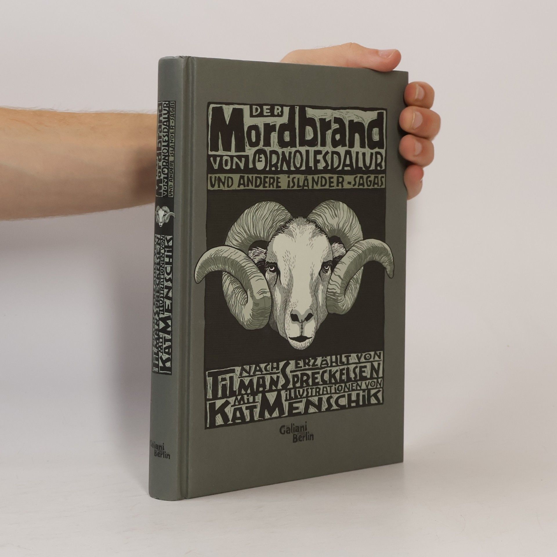 Tilman Spreckelsen Der Mordbrand von Örnolfsdalur und andere Isländer-Sagas