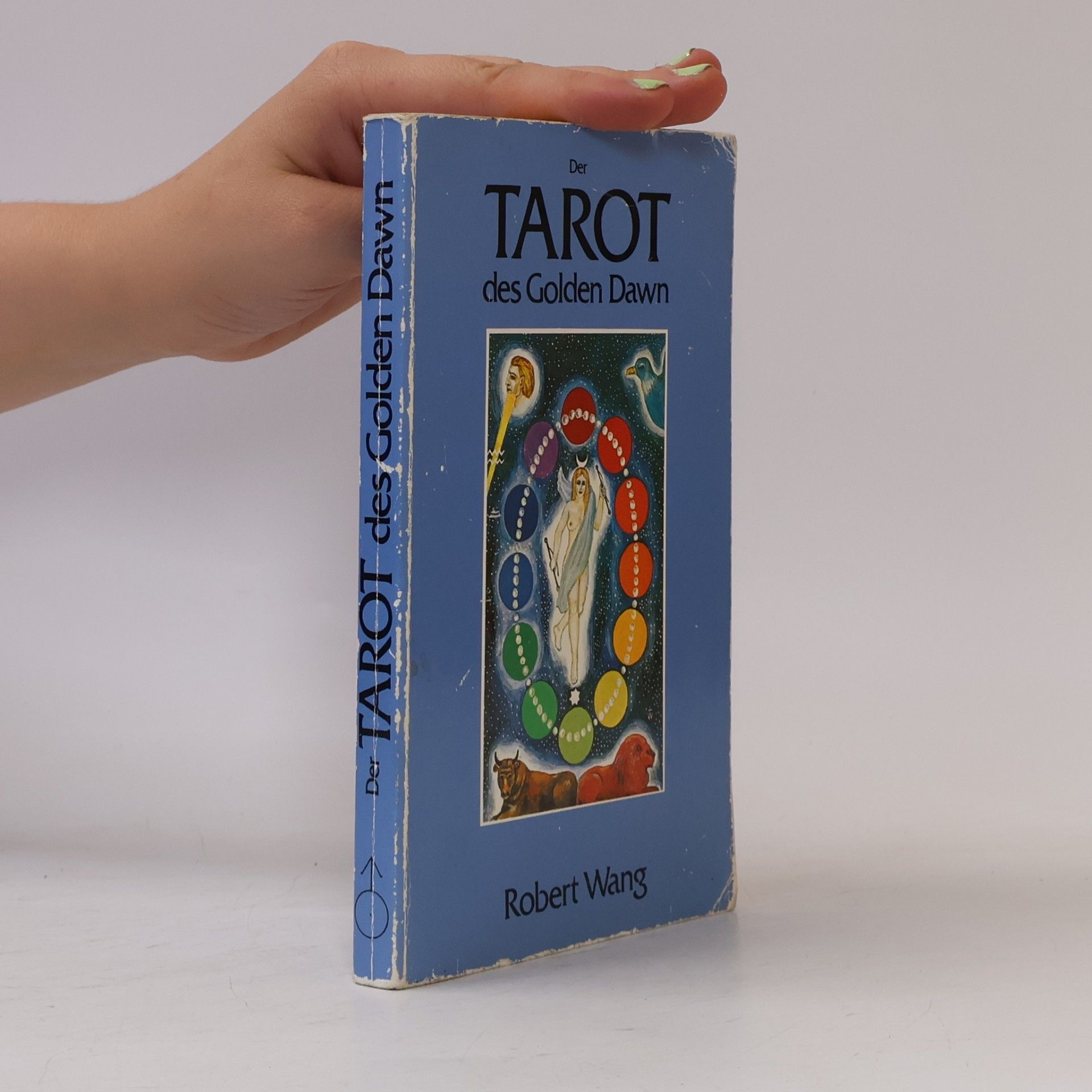 Robert Wang Der Tarot des Golden Dawn