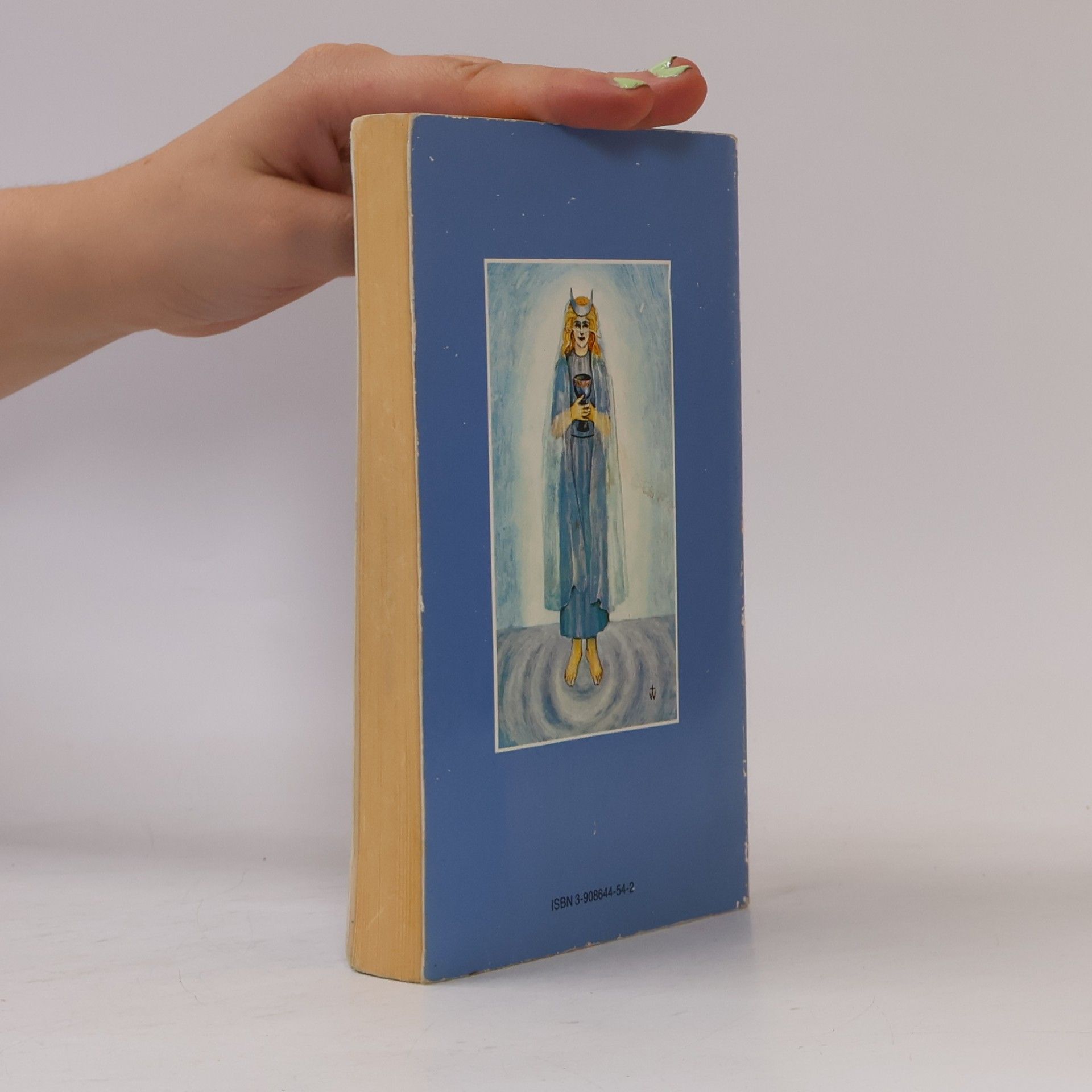Robert Wang Der Tarot des Golden Dawn