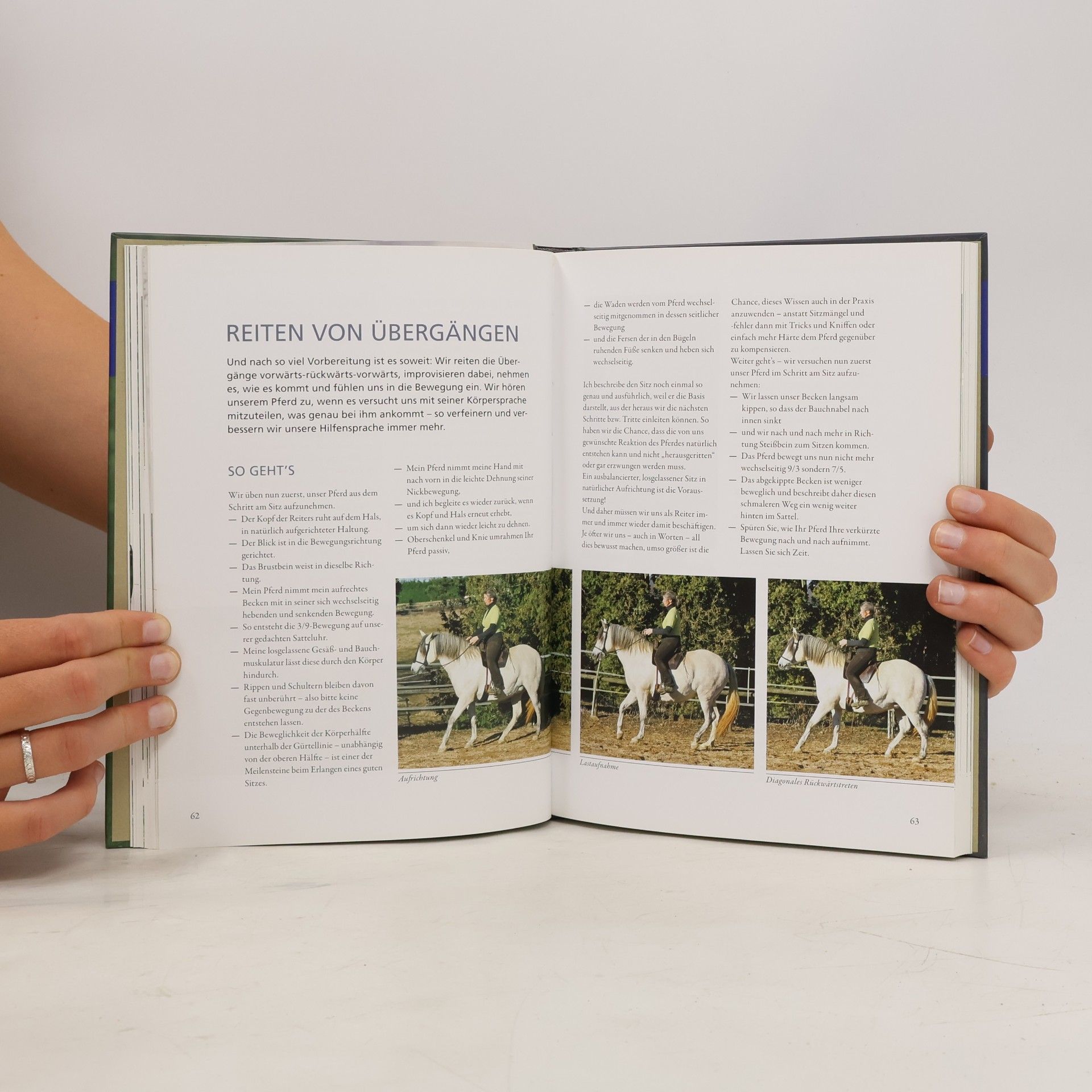 Silke Hembes Reiten erschreiten