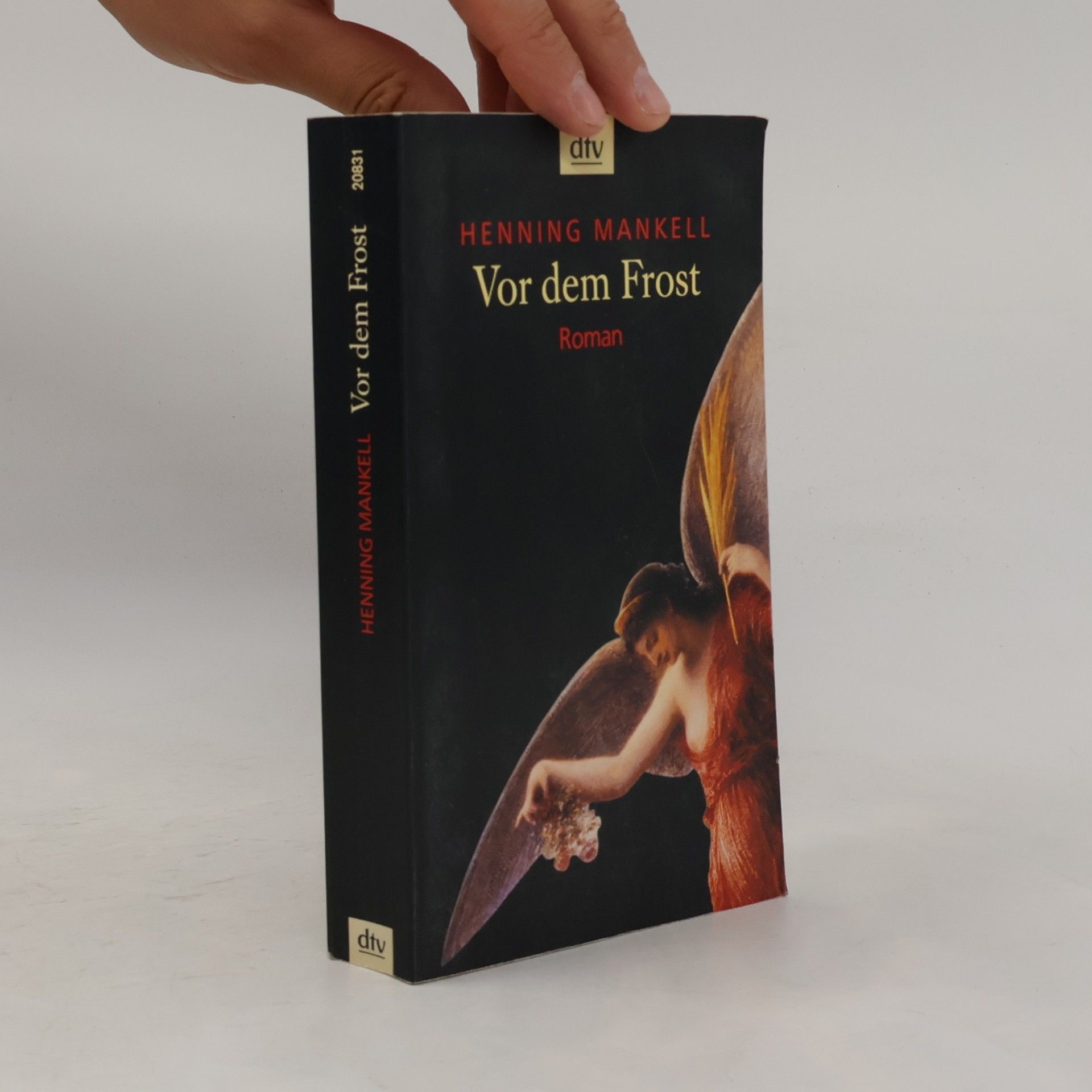 Henning Mankell Vor dem Frost