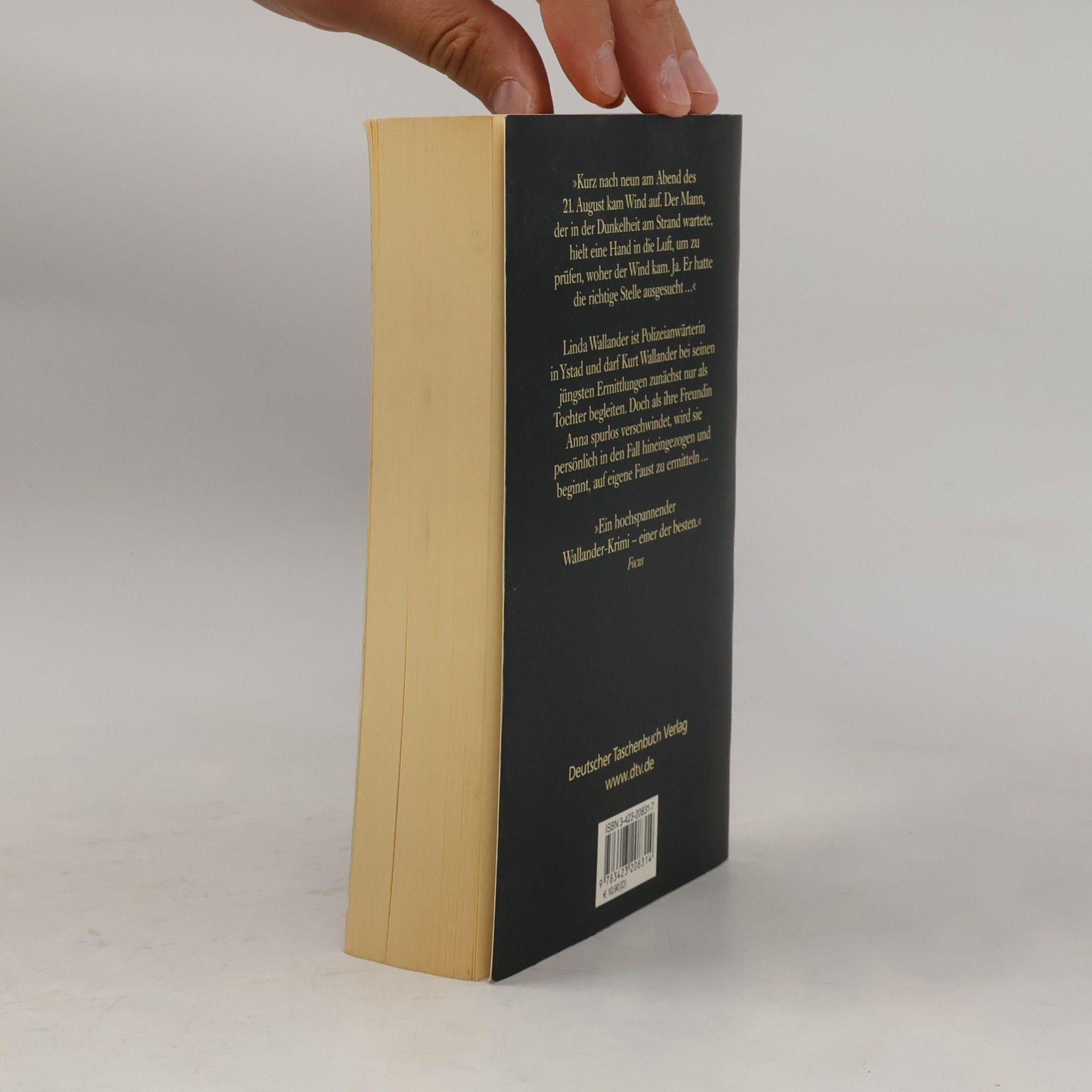 Henning Mankell Vor dem Frost