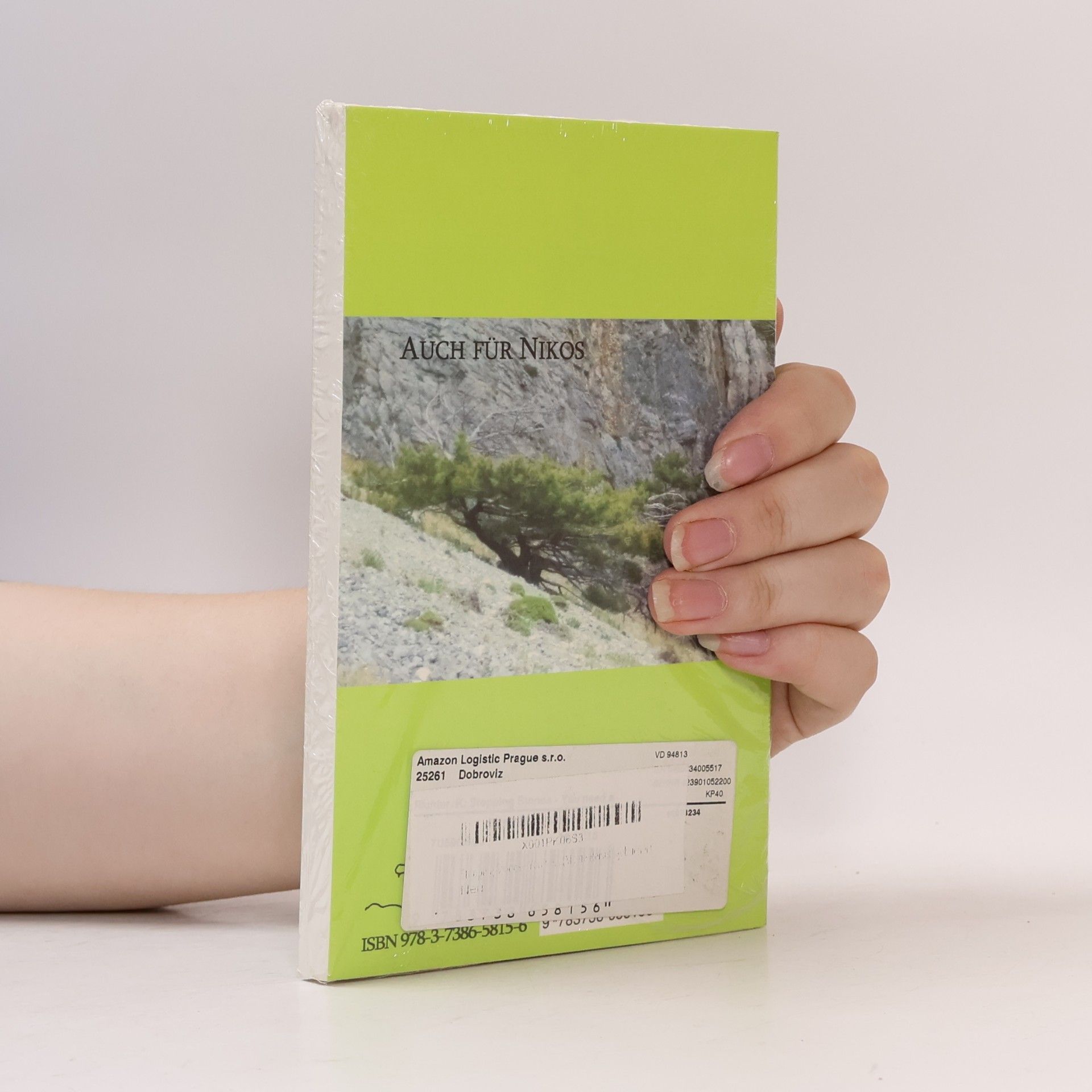 Katrin Richter Stepping Stones - You need a stick to cross the river