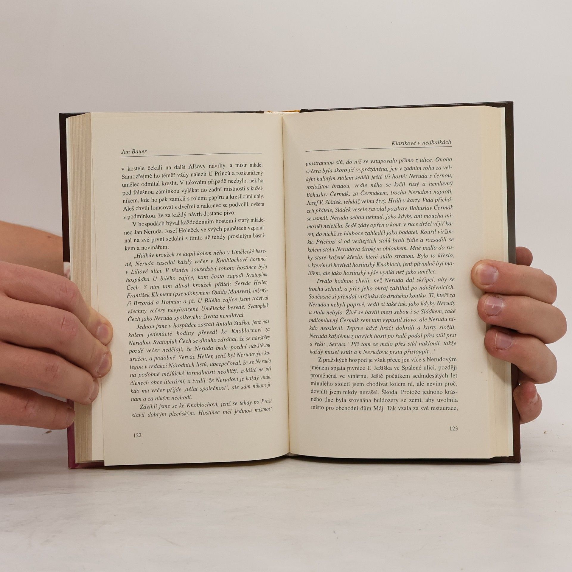 Jan Bauer Klasikové v nedbalkách : za kulisami českého 19. století