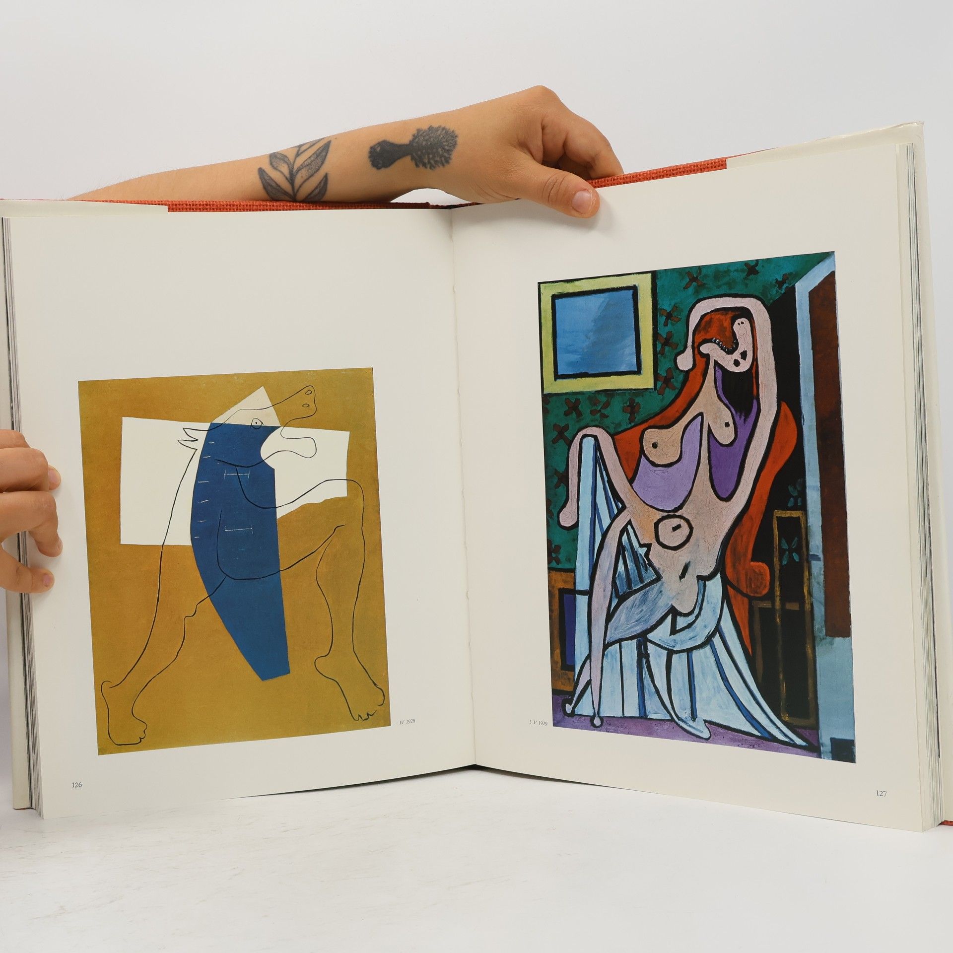 David Duncan Douglas Adieu Picasso