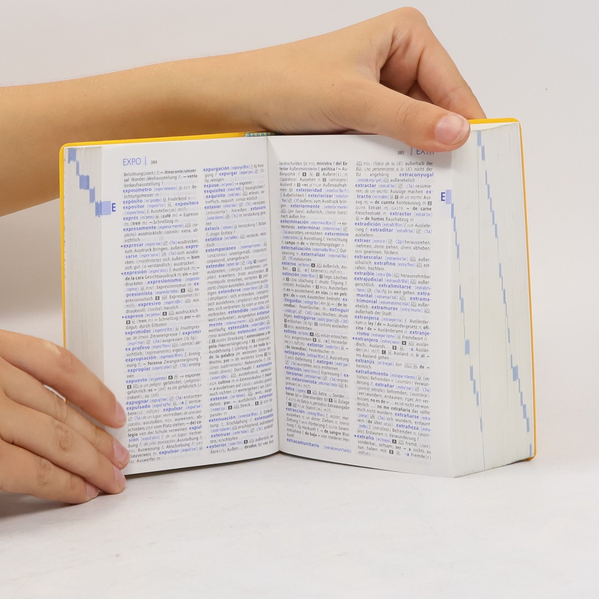 Barbara Epple Langenscheidt, Taschenwörterbuch Spanisch