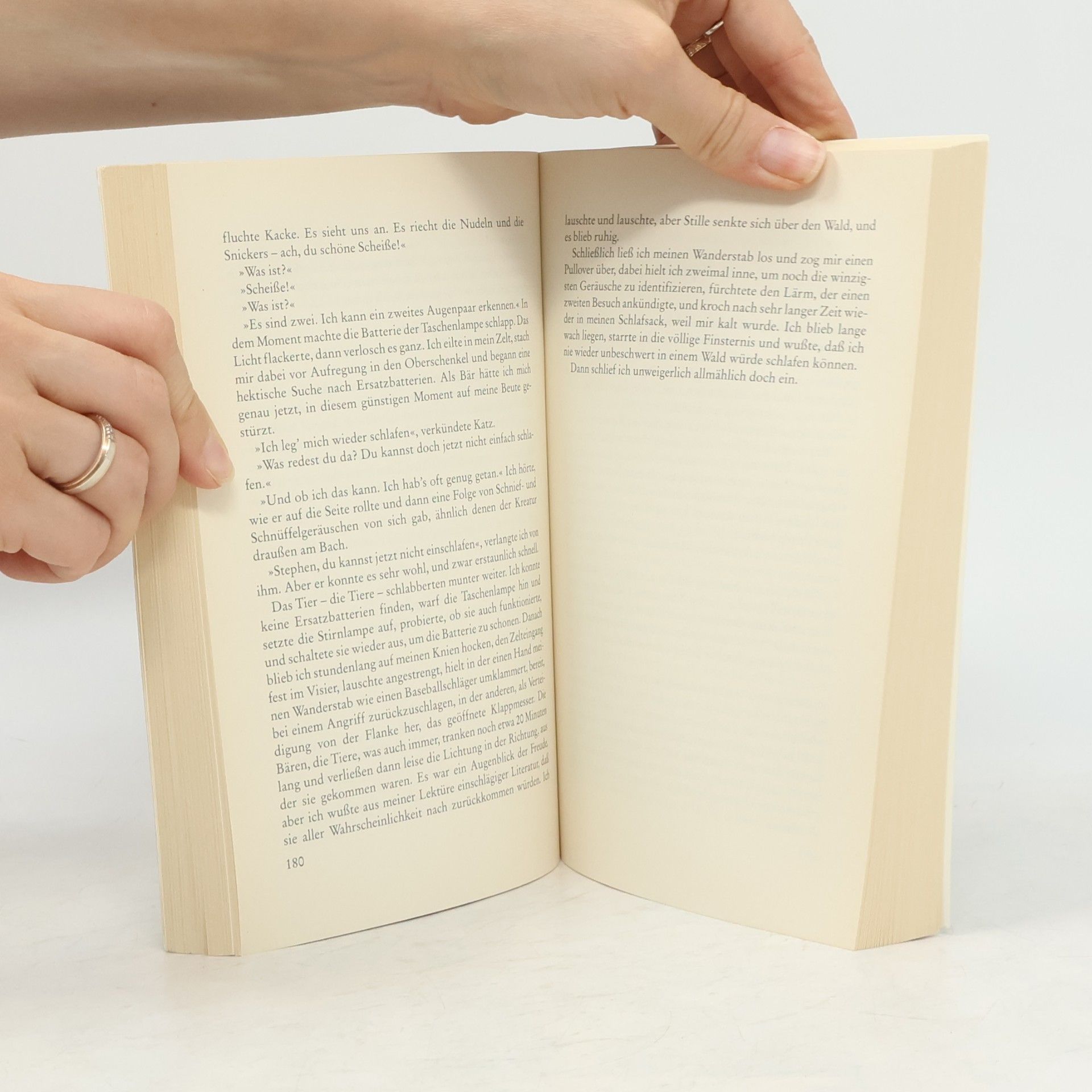 Bill Bryson Picknick mit Bären