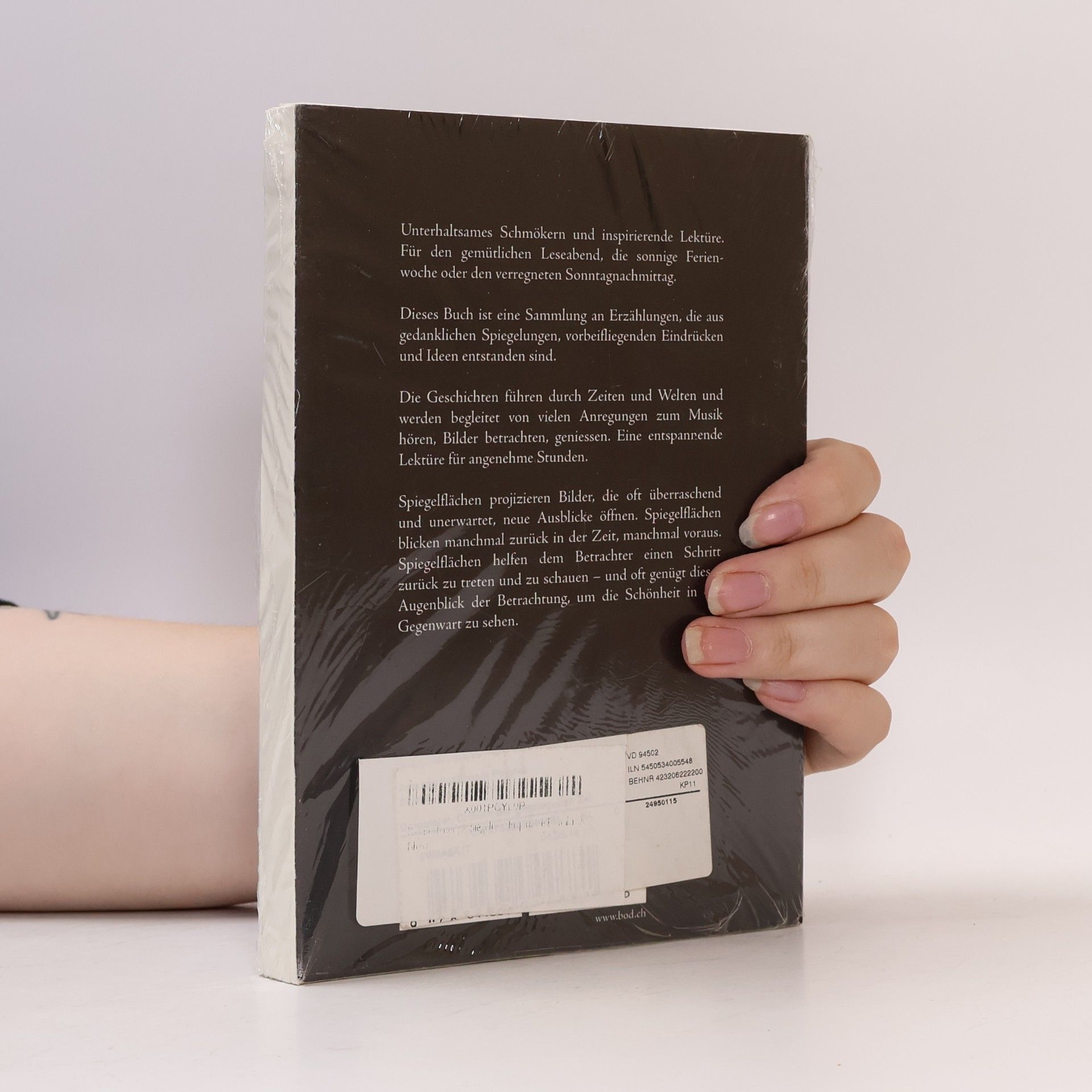 Dagmar Dornbierer Das Buch der gespiegelten Zeit