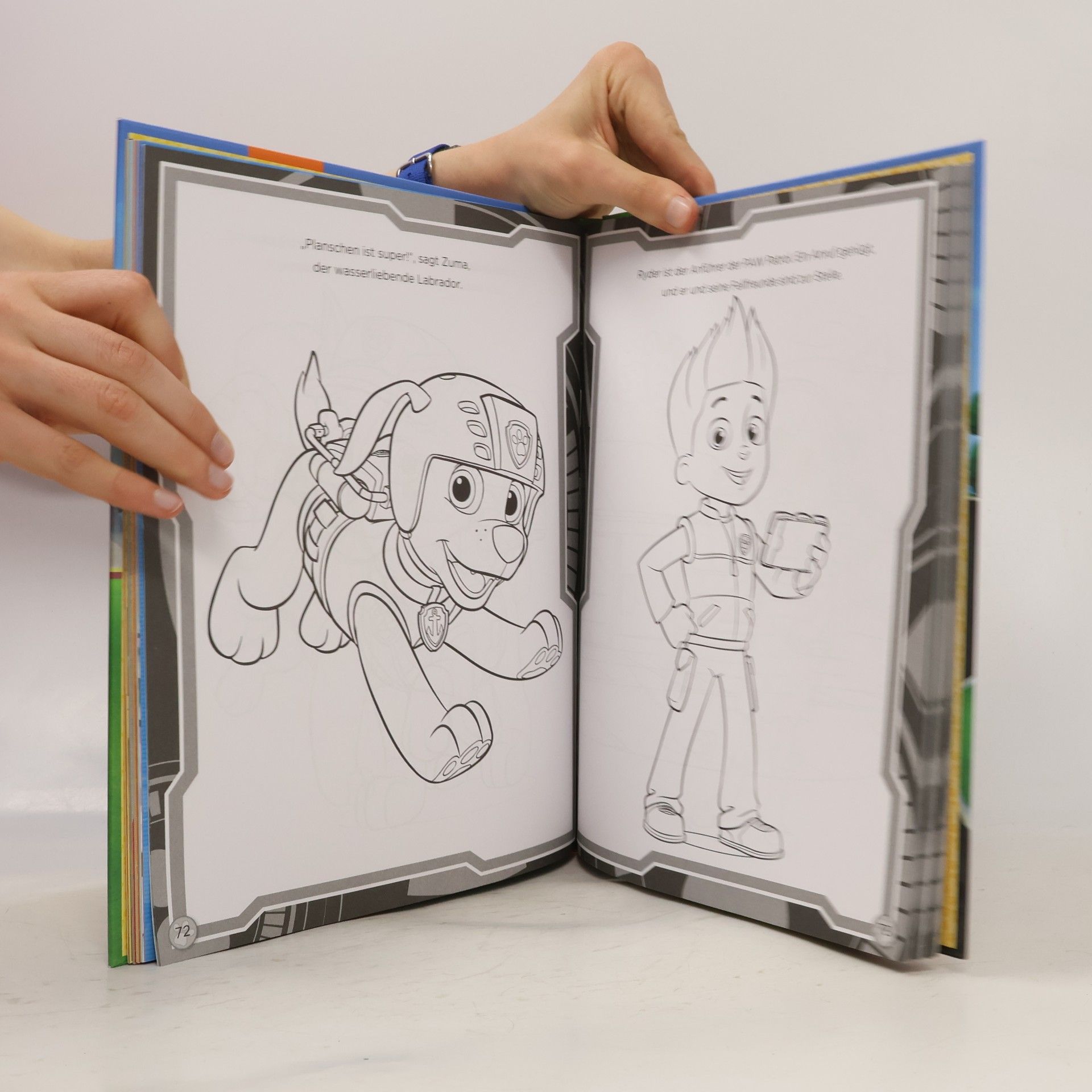PAW Patrol: Helfer auf vier Pfoten - Mein Lieblingsbuch