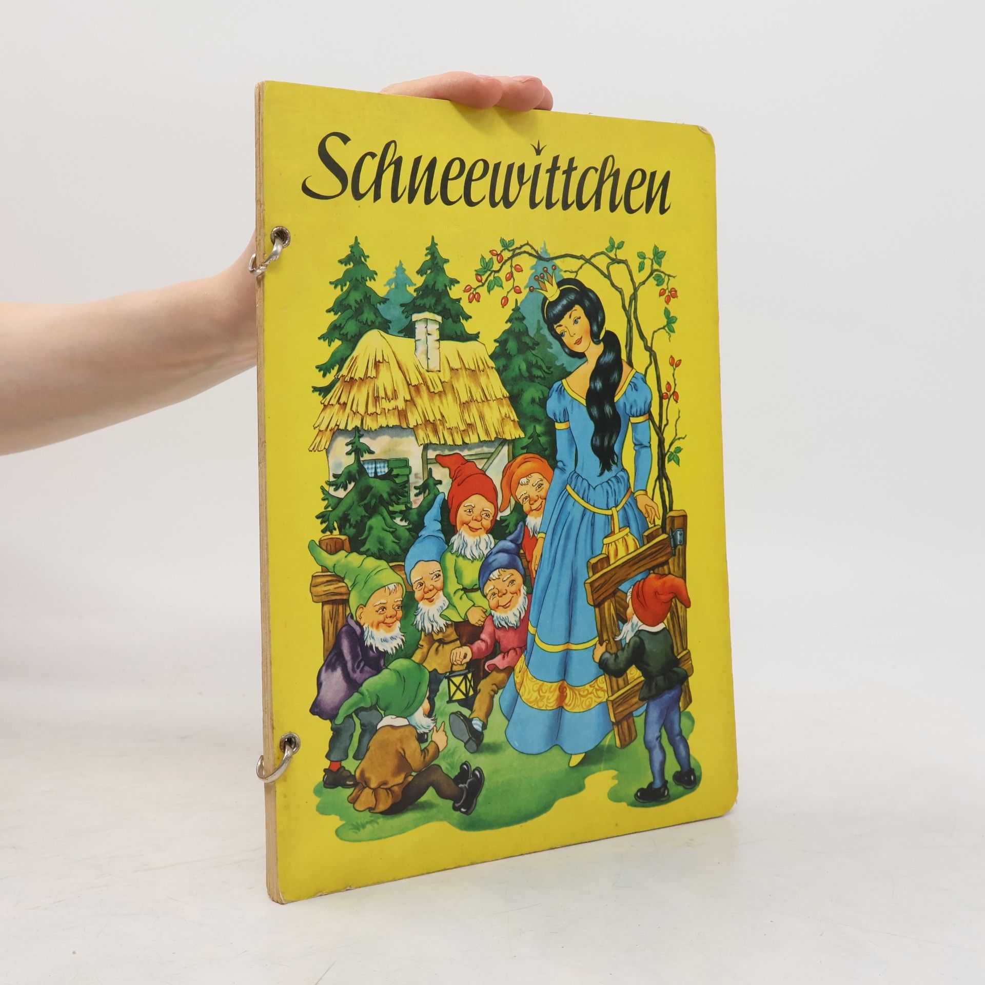 Autorenkollektiv Schneewittchen