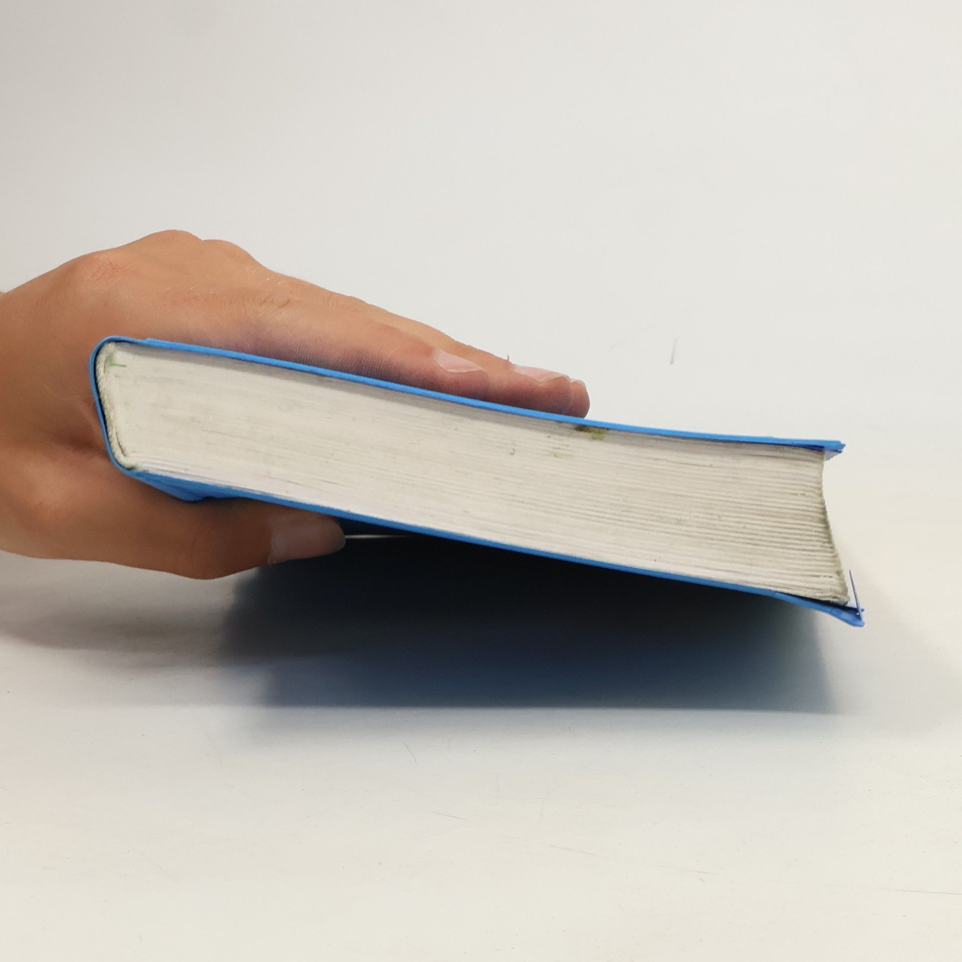 Josef Greil Wortprofi. Schulwörterbuch Deutsch. Ausgabe B