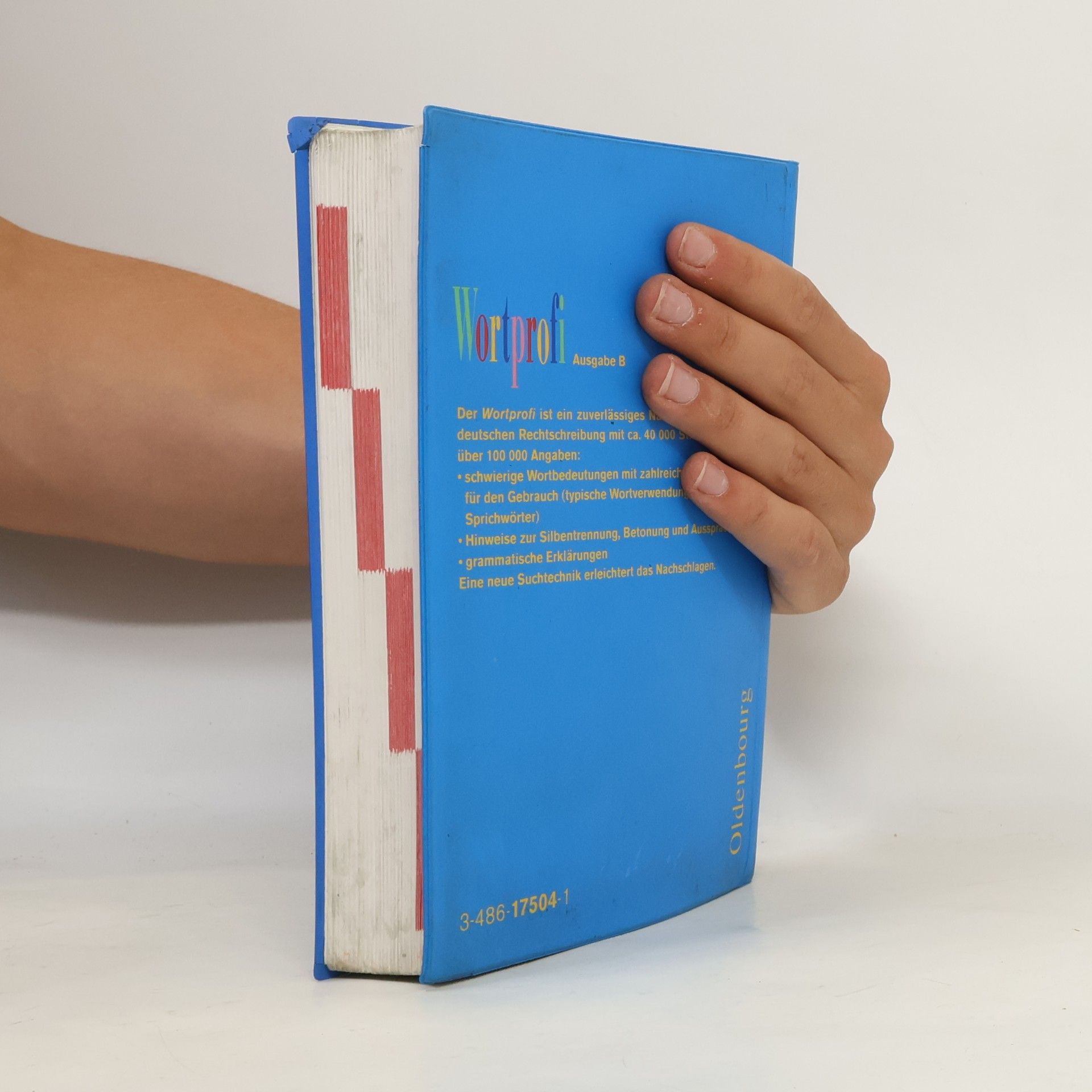 Josef Greil Wortprofi. Schulwörterbuch Deutsch. Ausgabe B