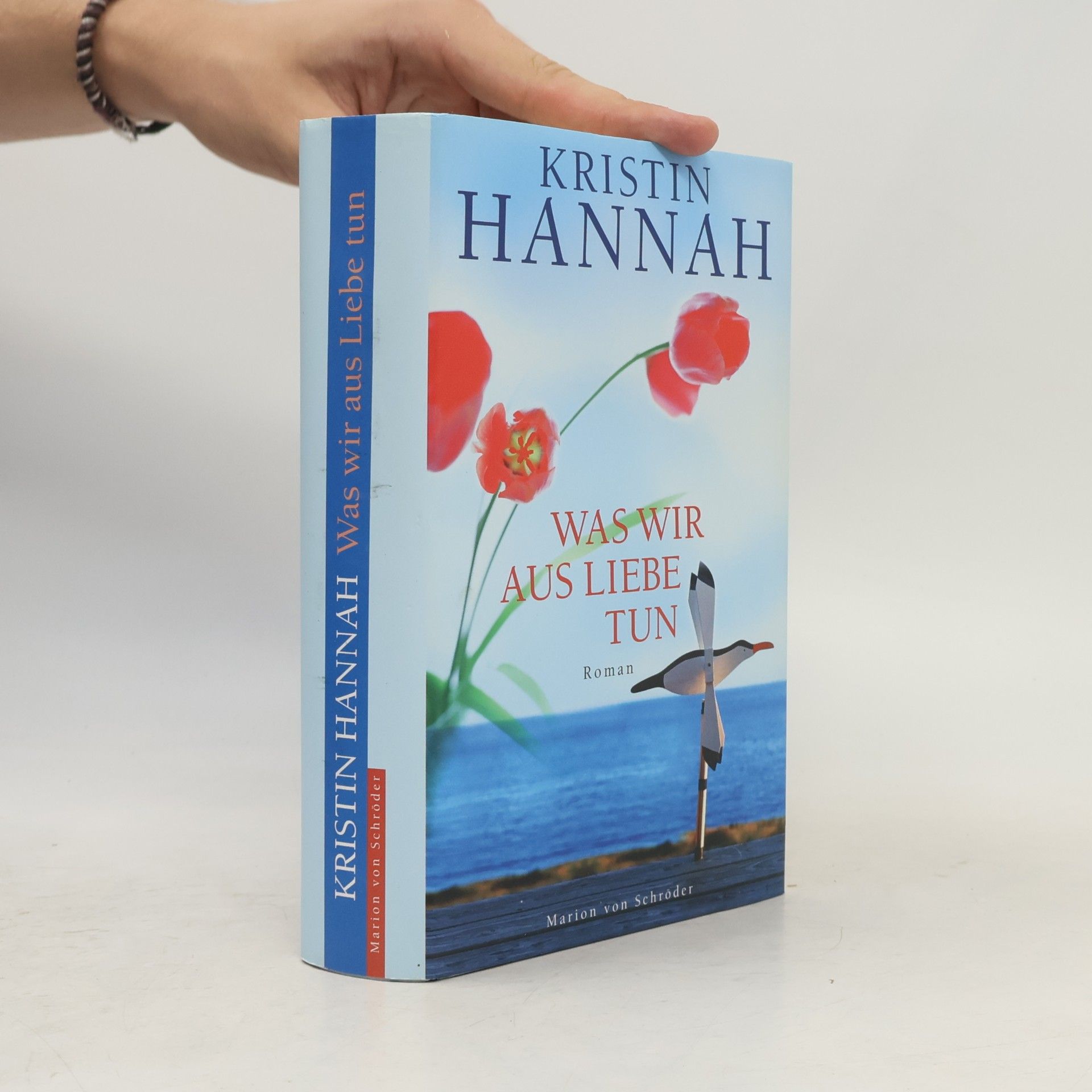 Kristin Hannah Was wir aus Liebe tun