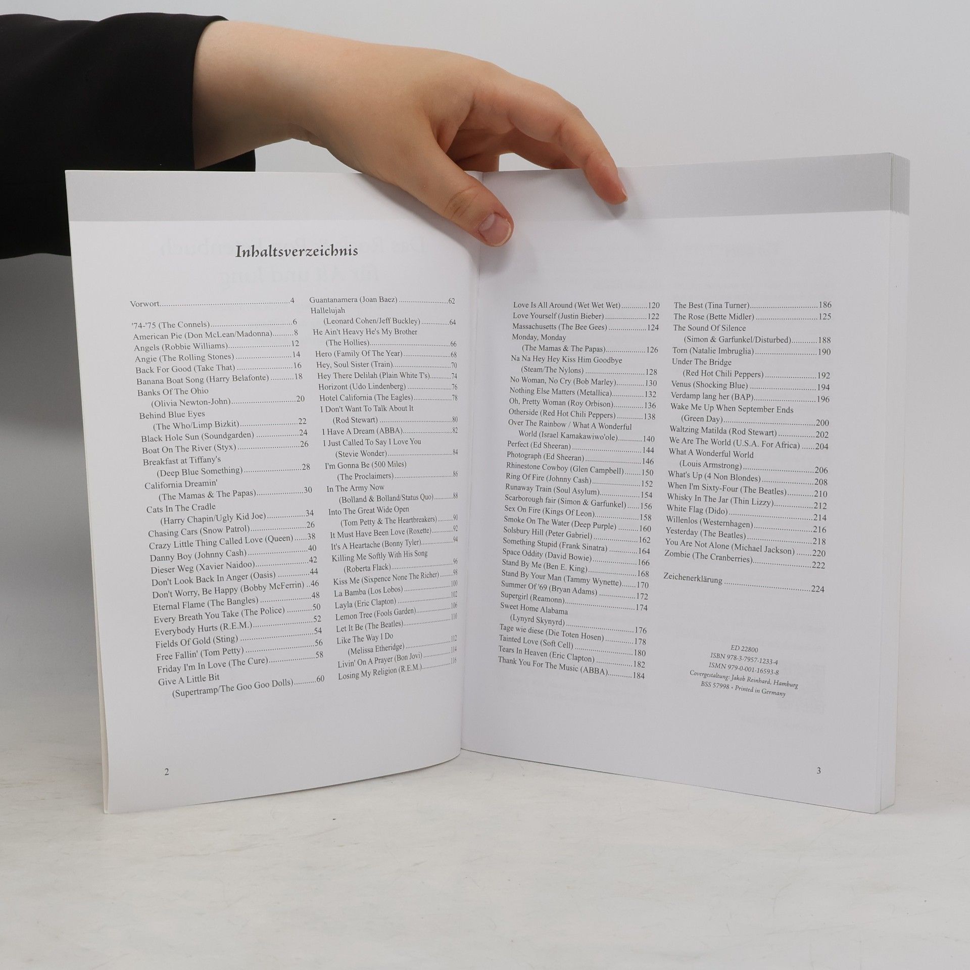 Liederbücher für Alt und Jung: Das Rock & Pop Fetenbuch für Alt und Jung