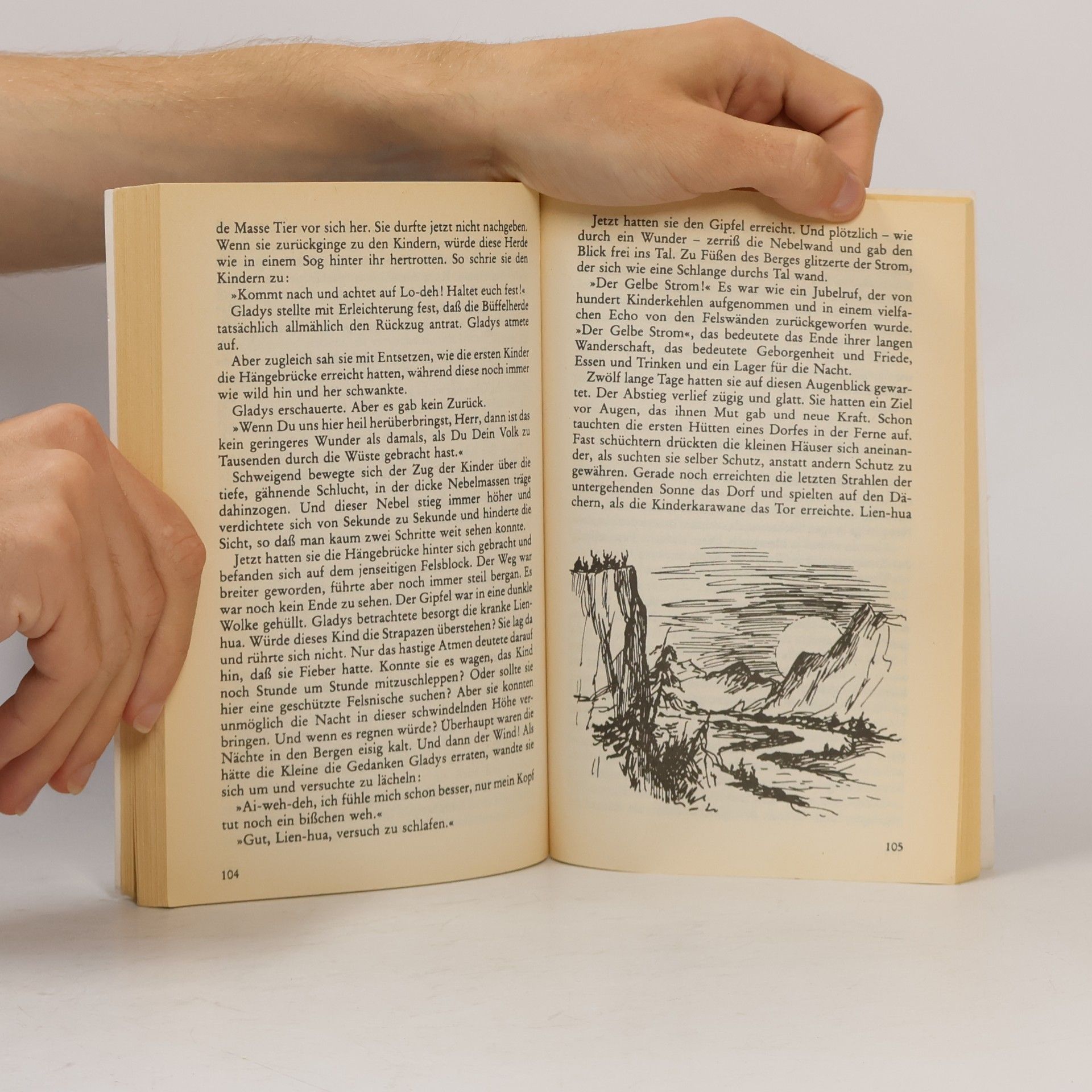 Hildegard Horie Stärker als tausend Wasserbüffel