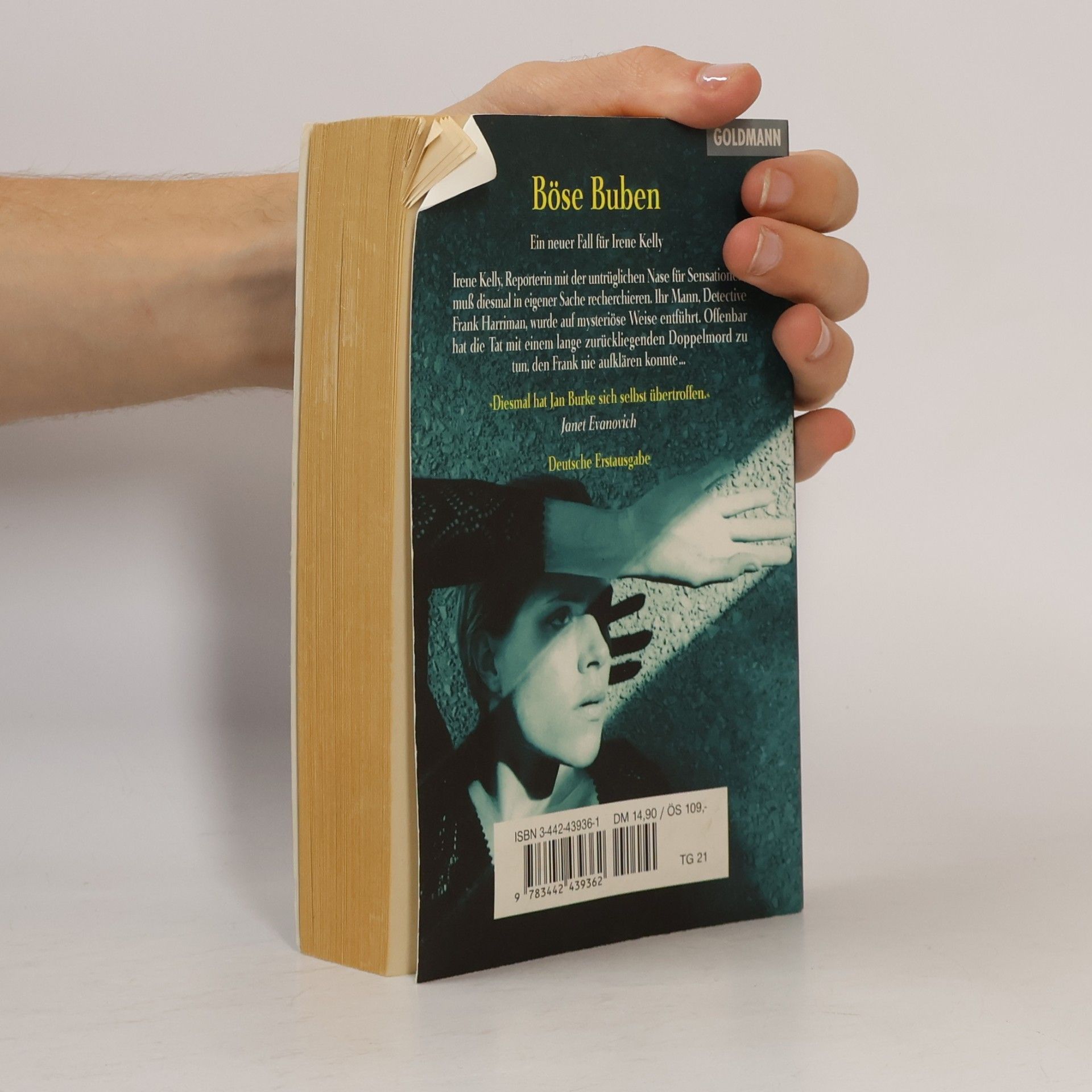 Jan Burke Böse Buben