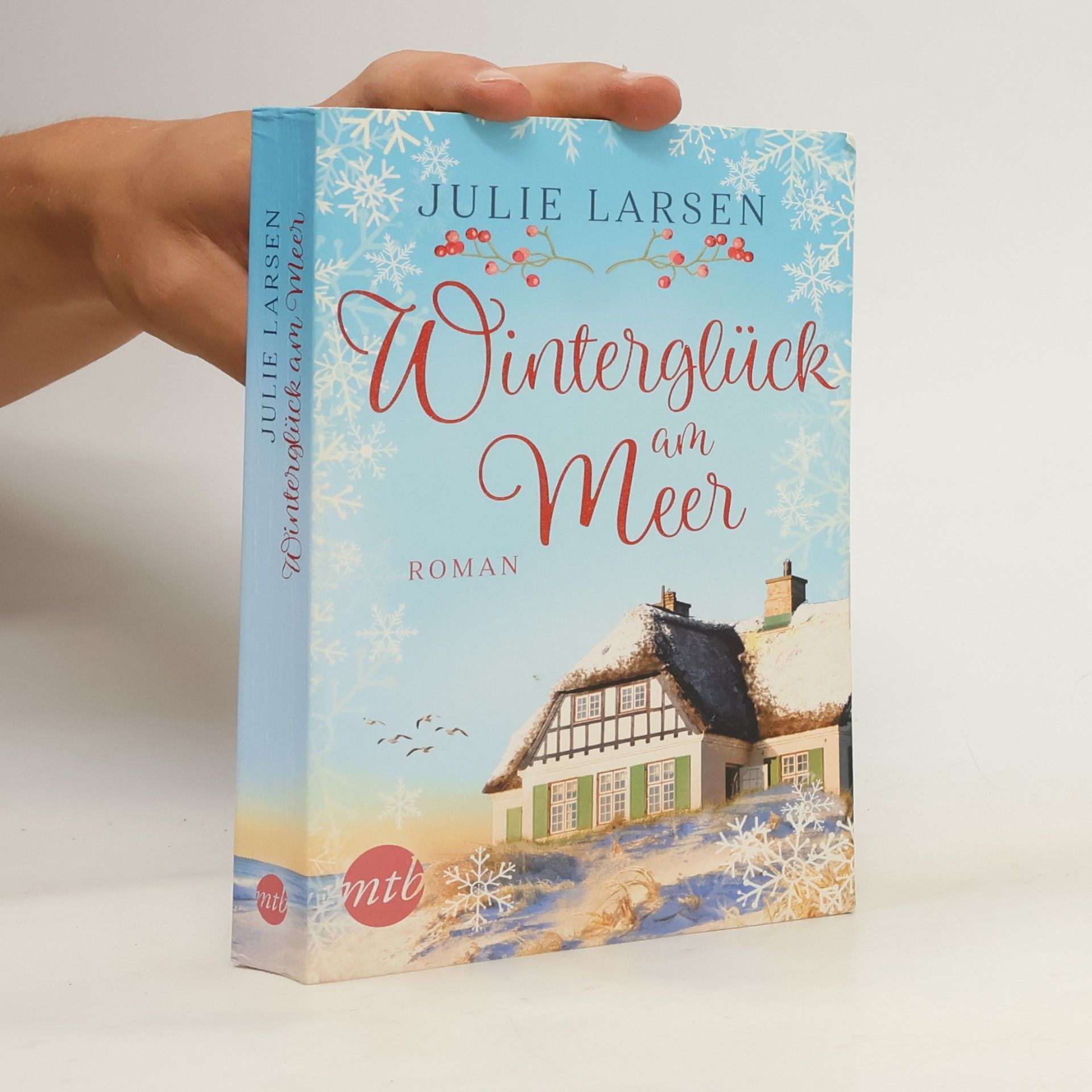 Julie Larsen Winterglück am Meer