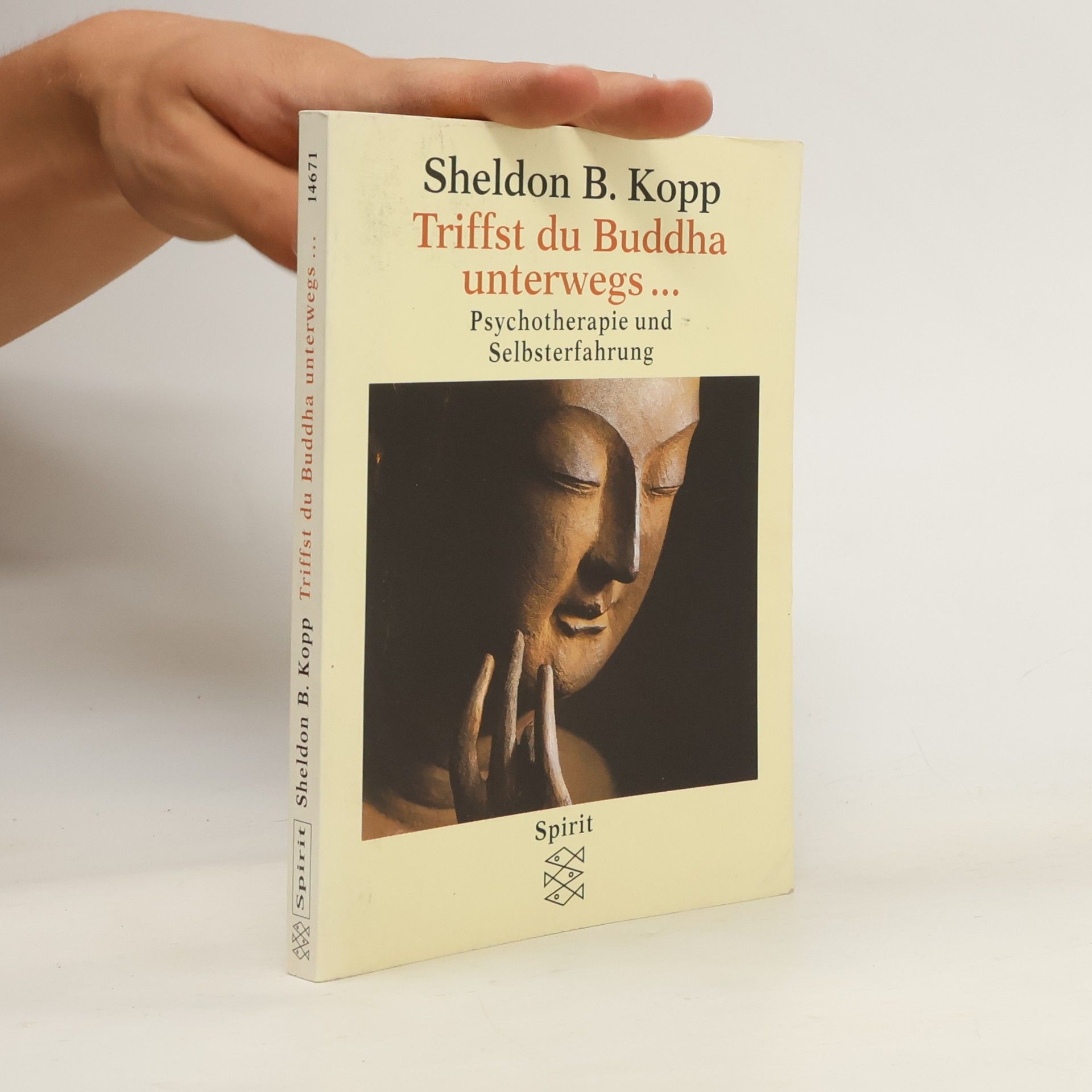 Sheldon B. Kopp Triffst du Buddha unterwegs ...