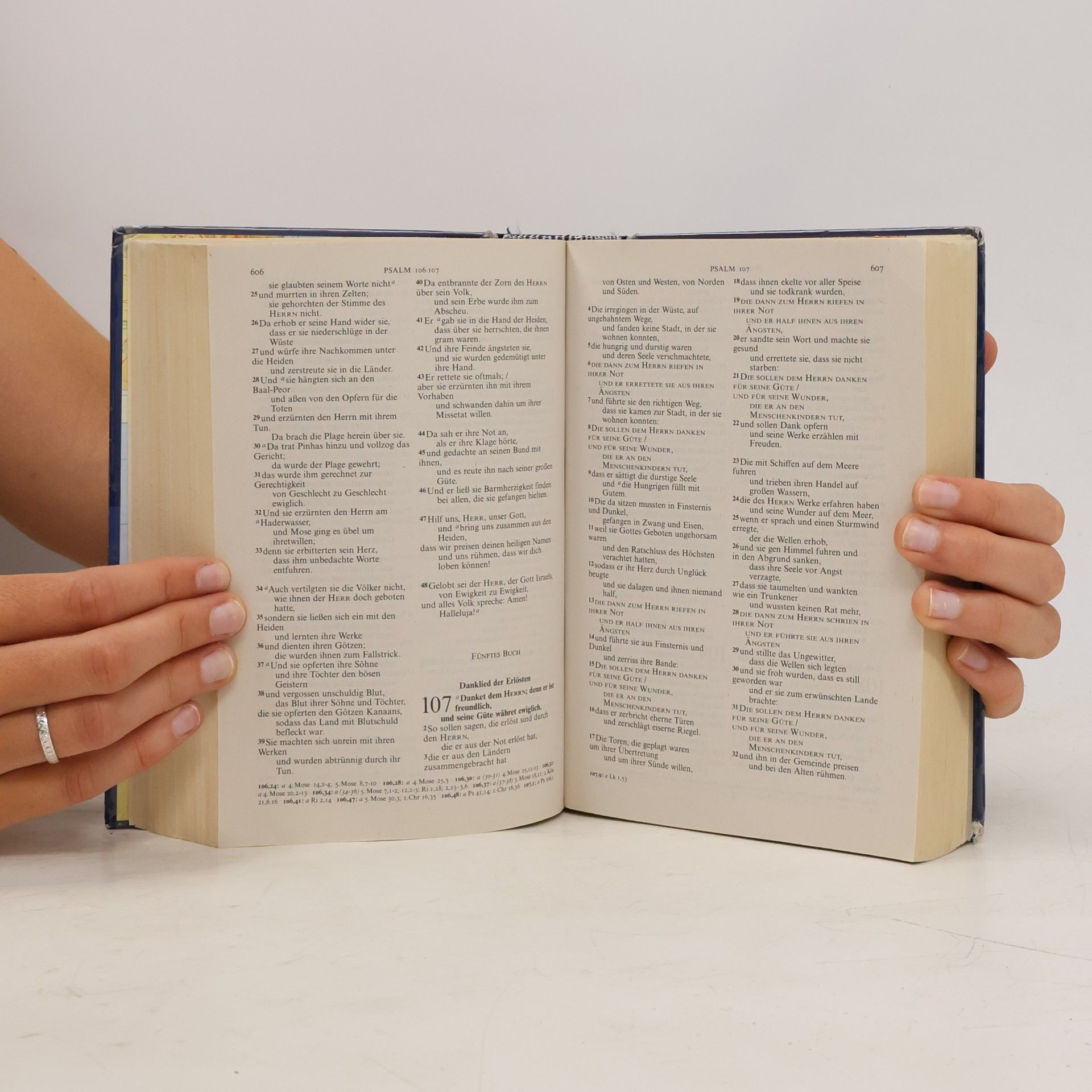Martin Luther Die Bibel