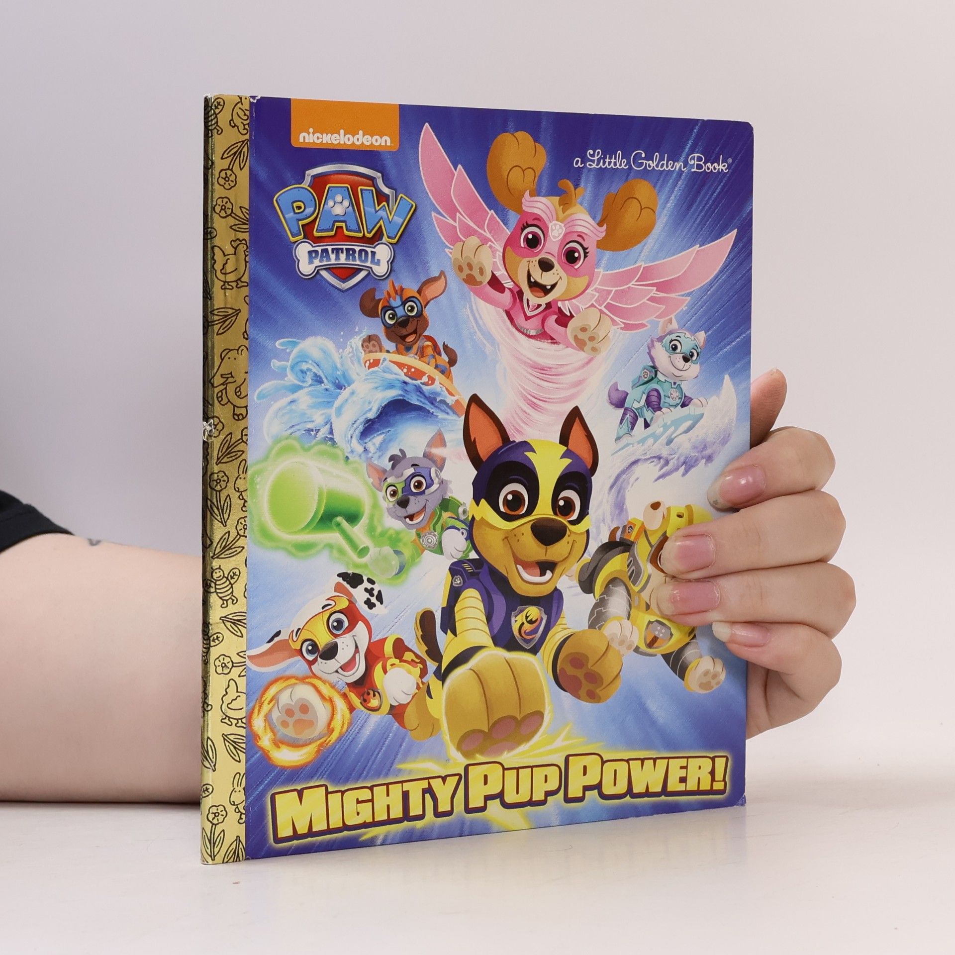 James Hollis Mighty Pup Power! (Paw Patrol)