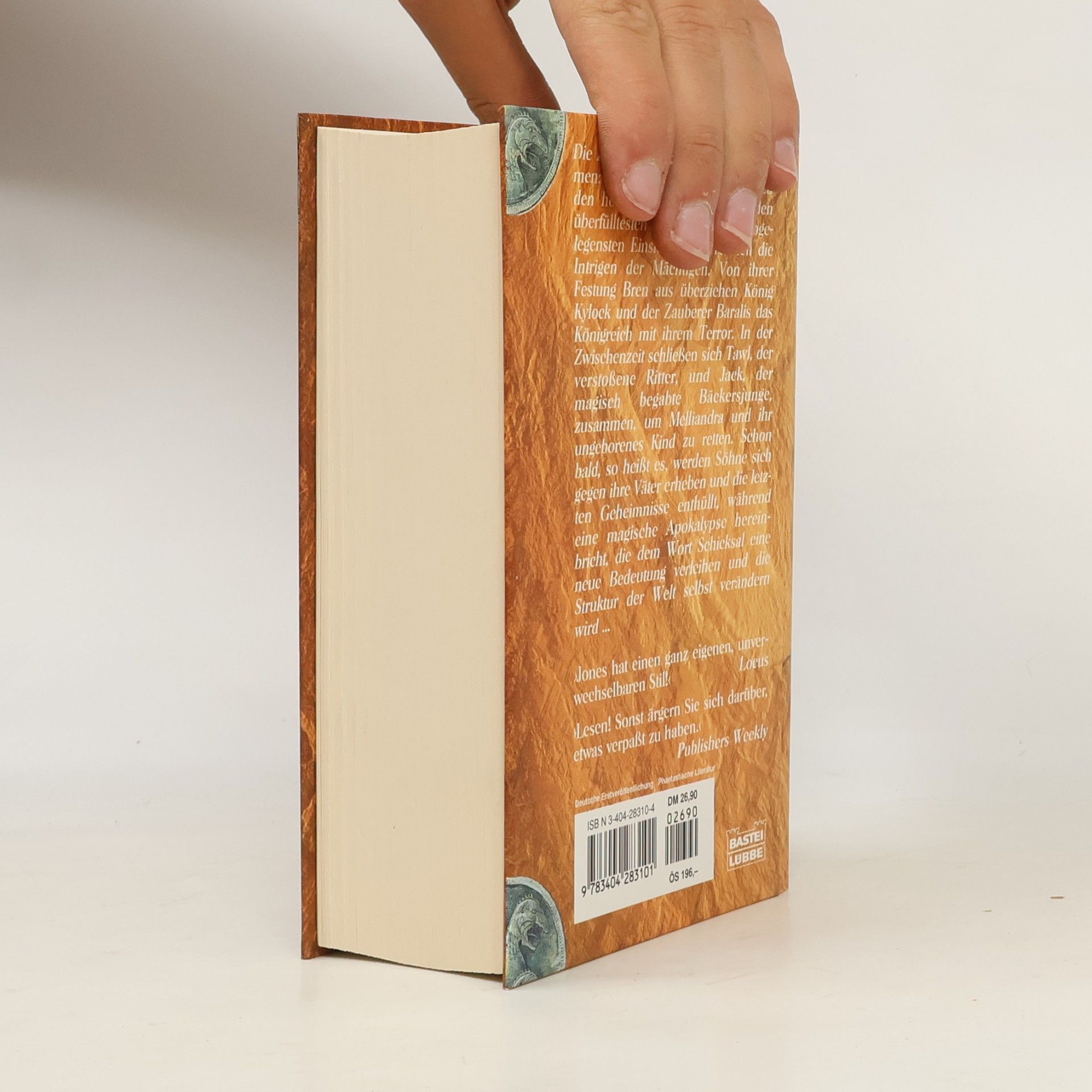 Julie V. Jones Das Buch der Worte. Herr und Narr