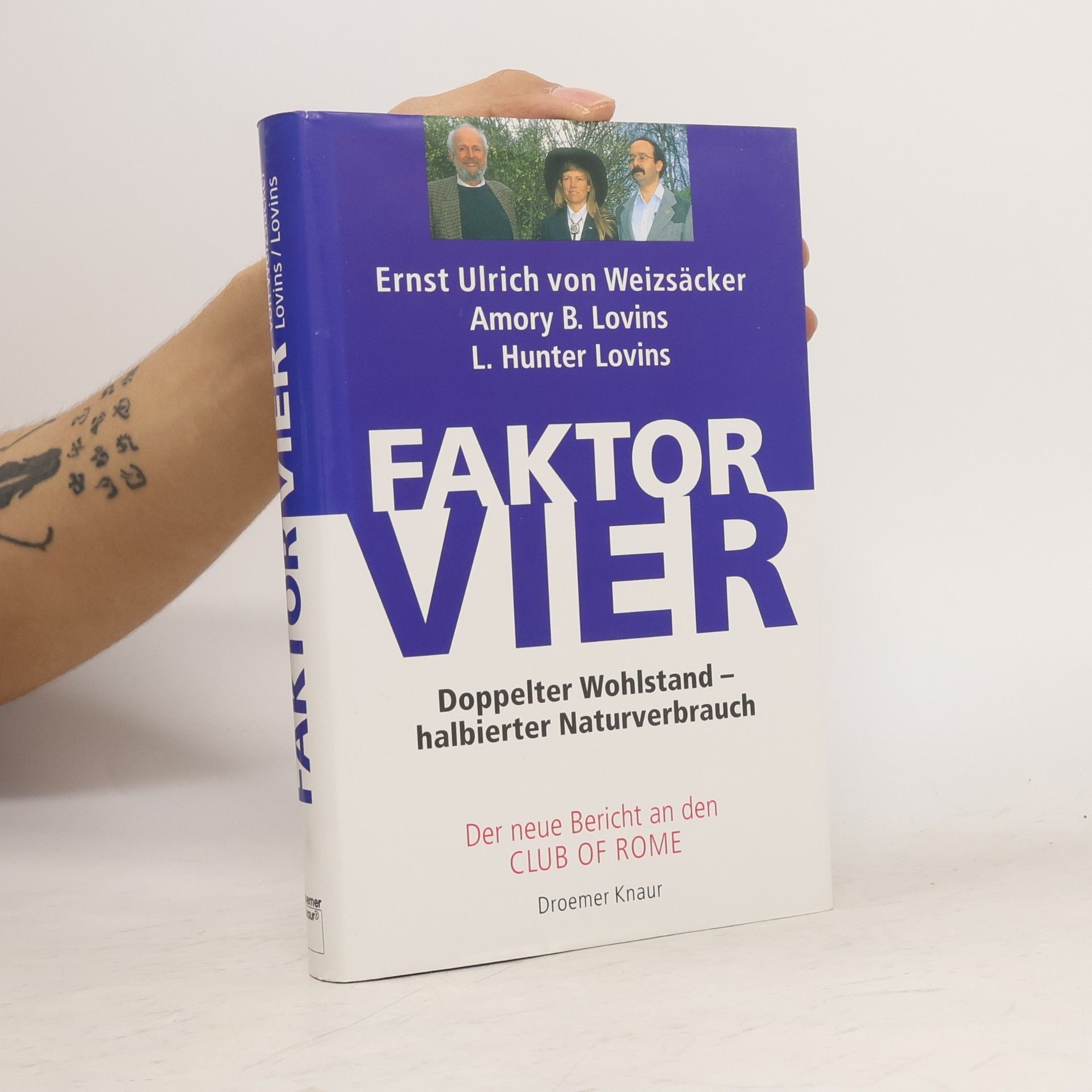 Amory Lovins Faktor Vier