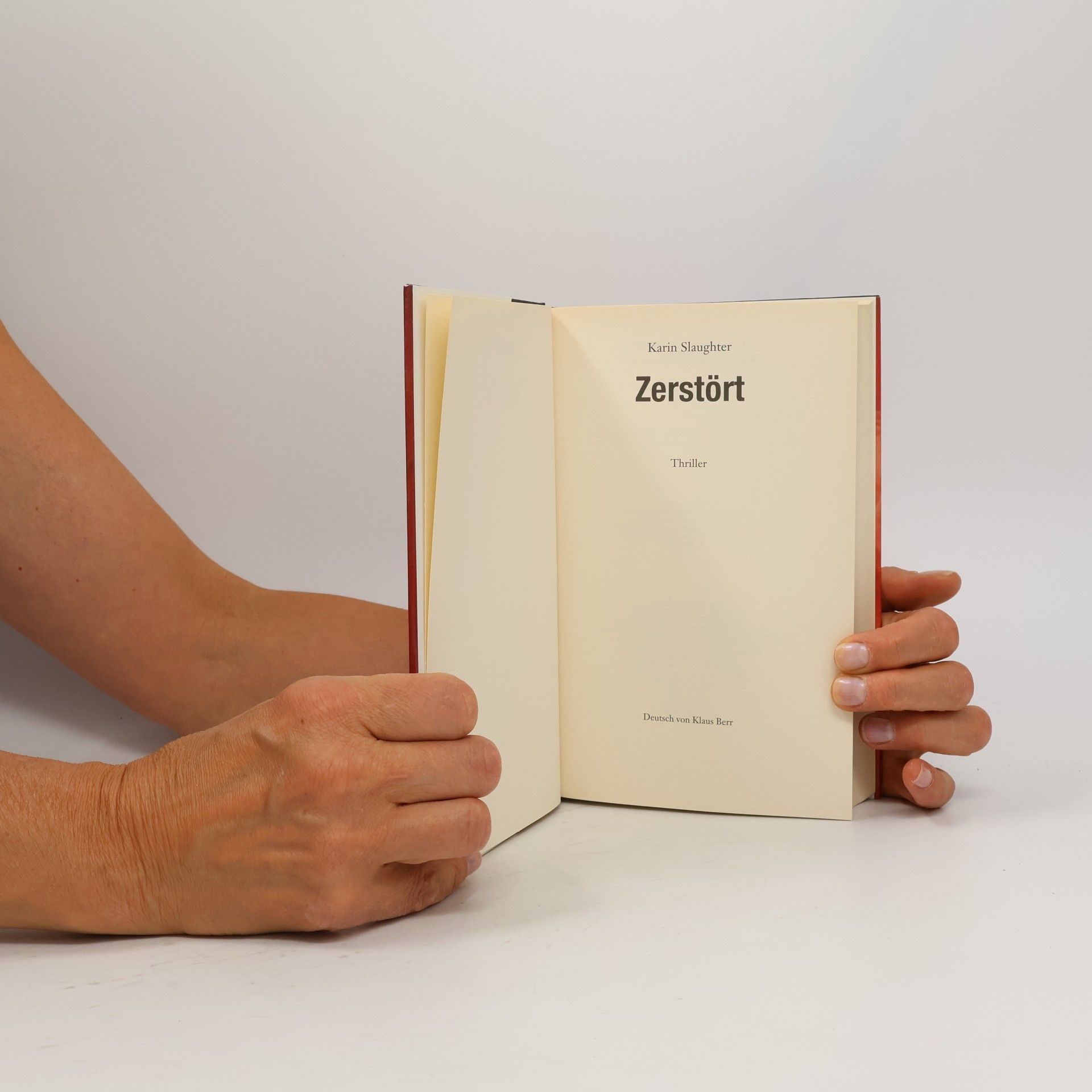 Karin Slaughter Zerstört