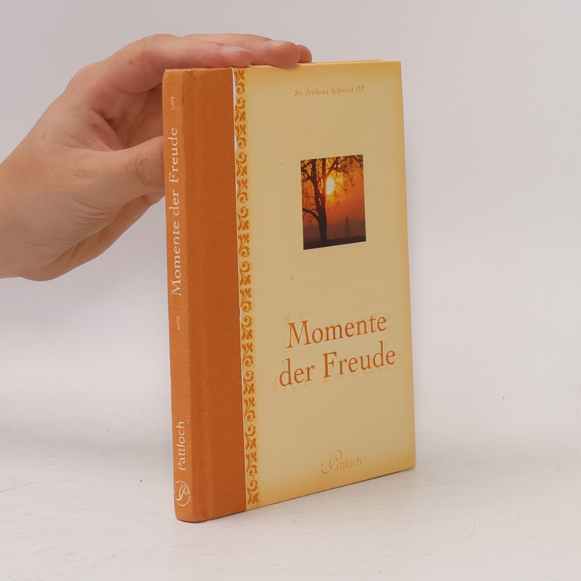 Sr. Jordana Schmidt OP Momente der Freude