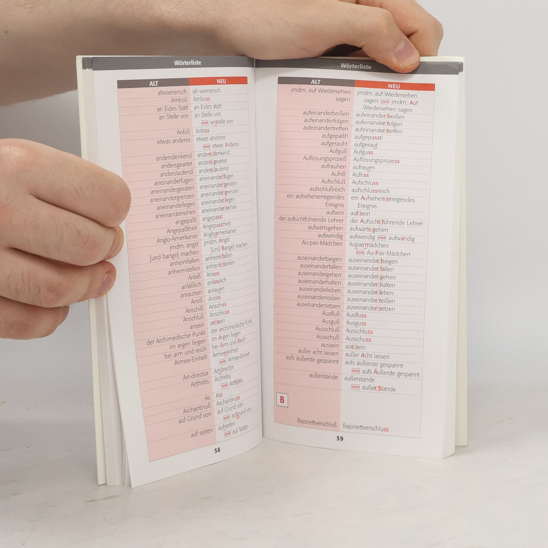 Autorenkollektiv Das 1x1 der deutschen Rechtschreibreform