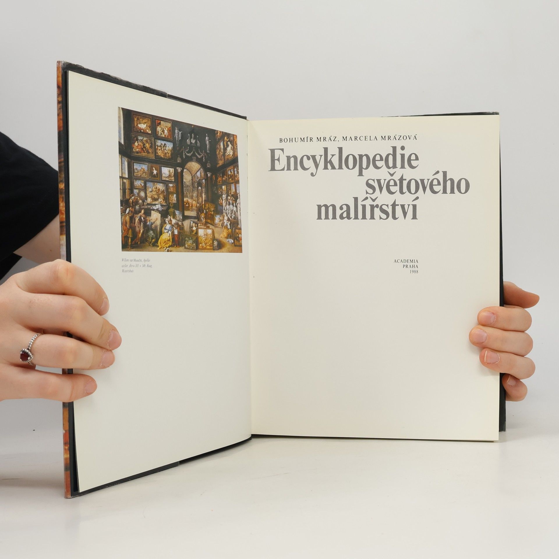 Bohumír Mráz Encyklopedie světového malířství