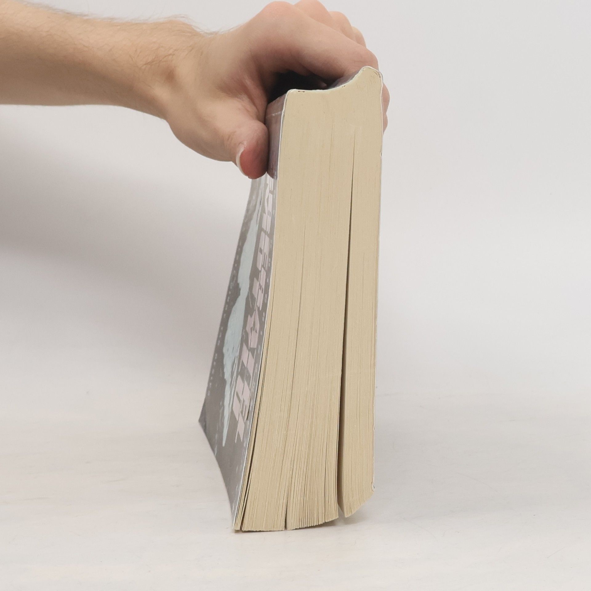 Dot Hutchison Sběratel motýlů (1. díl trilogie)