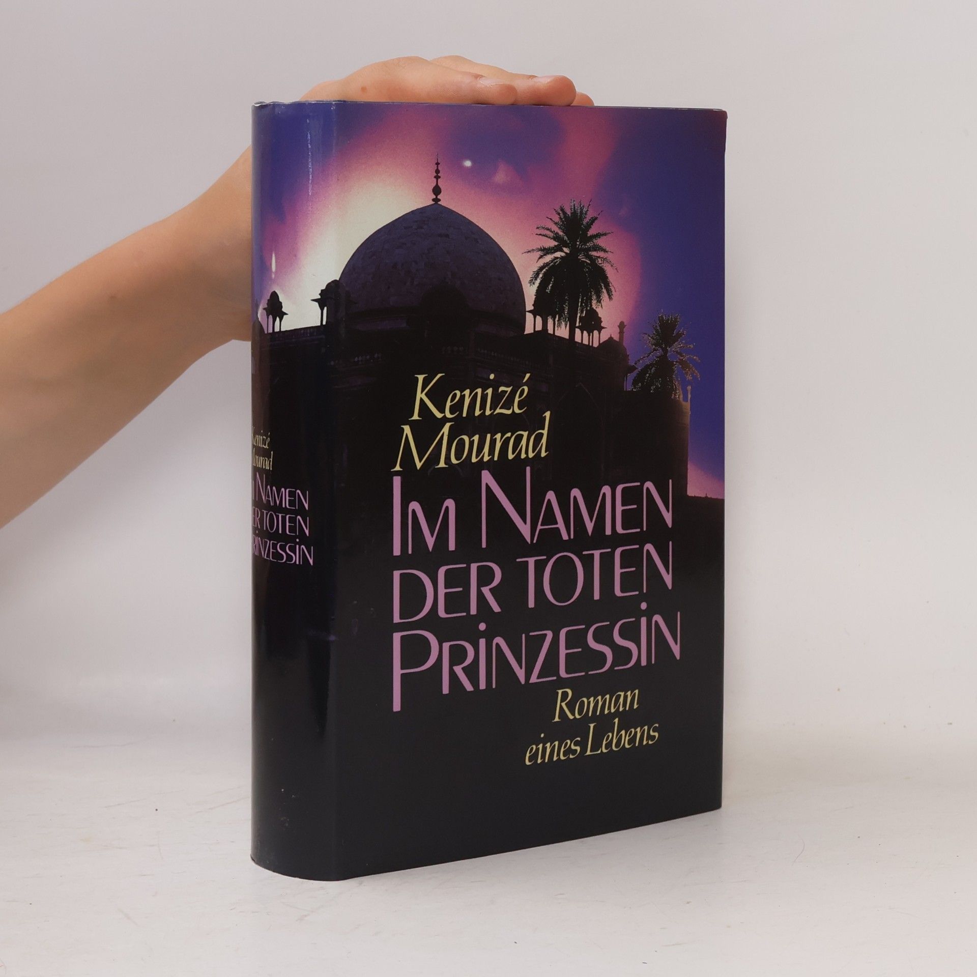 Kenizé Mourad Im Namen der toten Prinzessin
