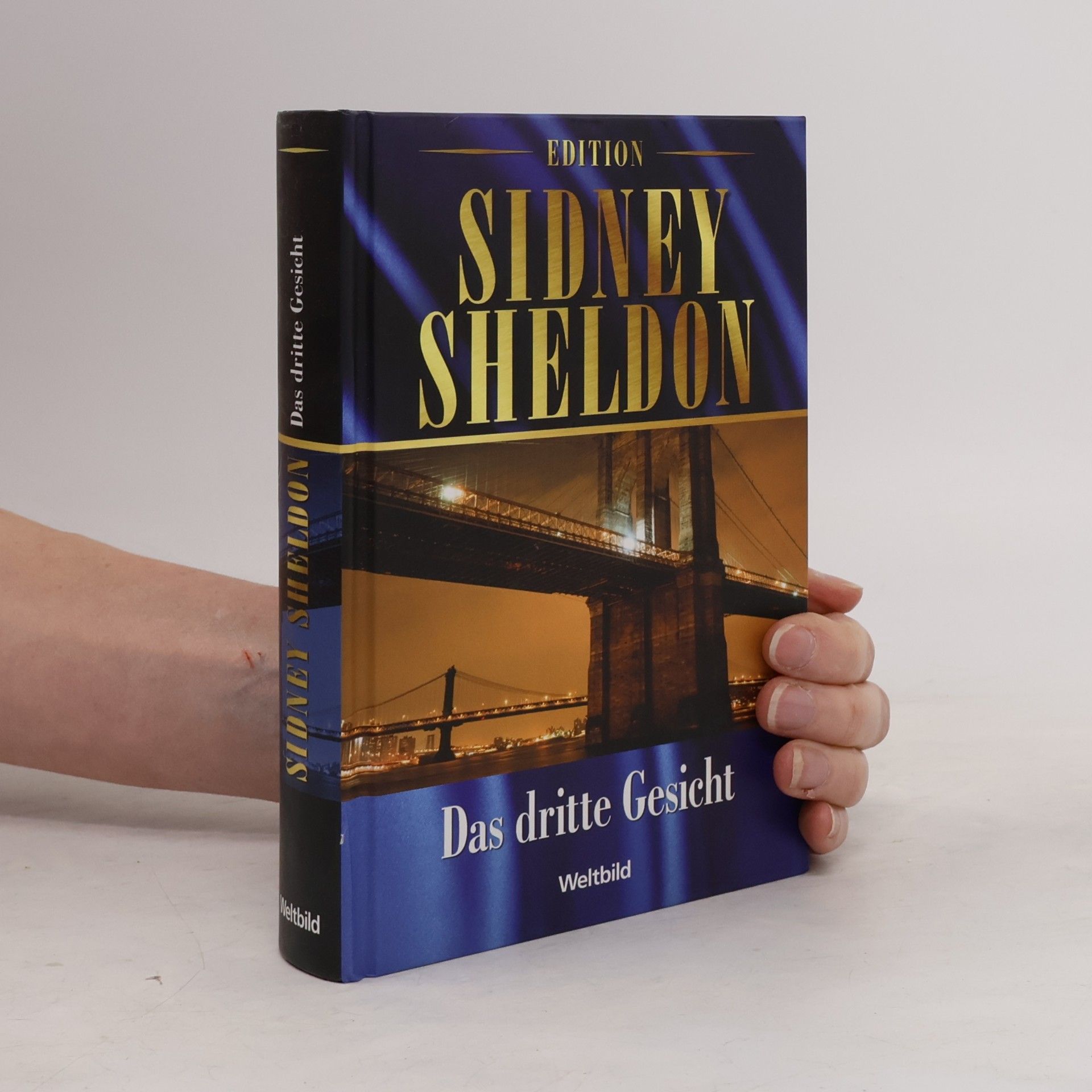 Sidney Sheldon Das dritte Gesicht