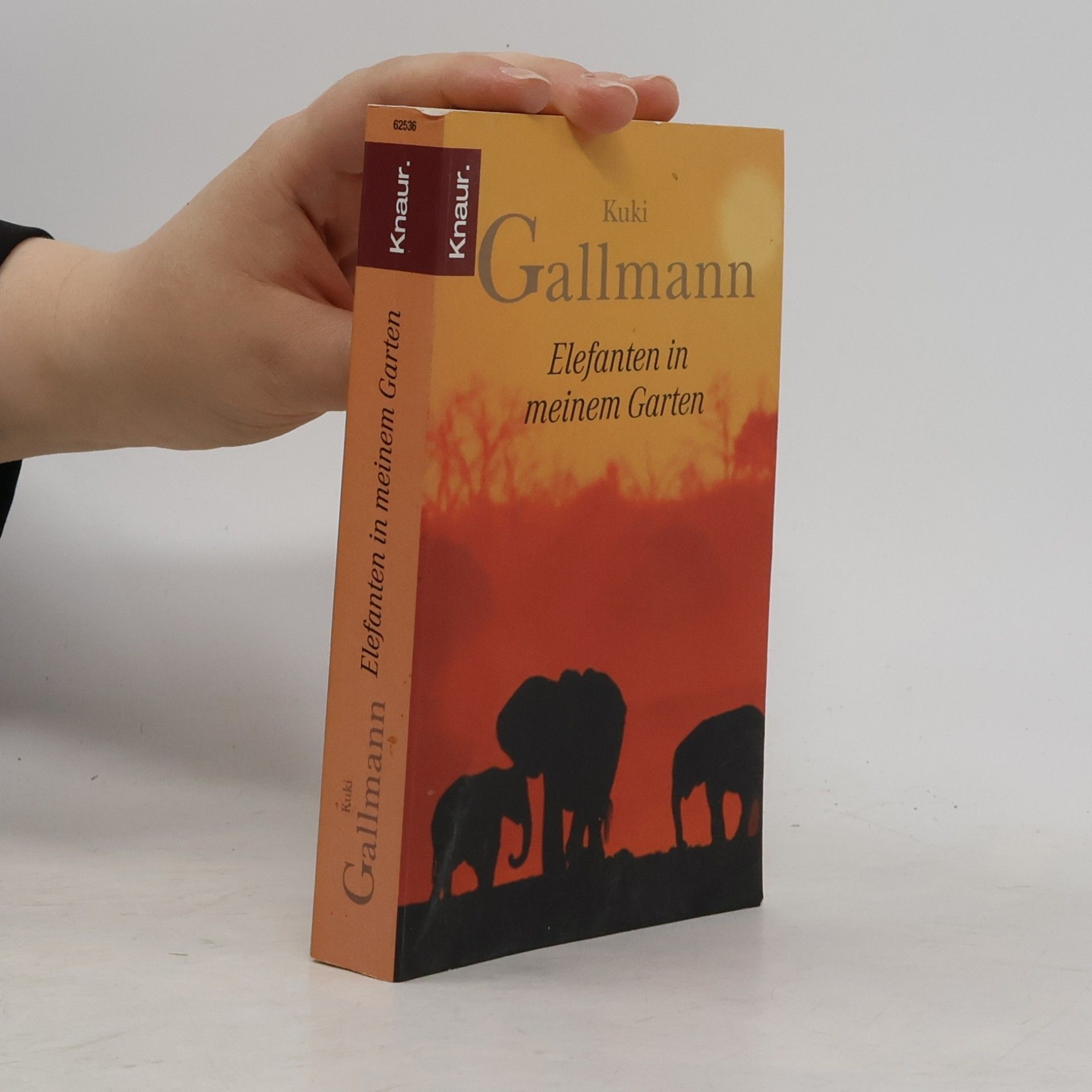 Kuki Gallmann Elefanten in meinem Garten