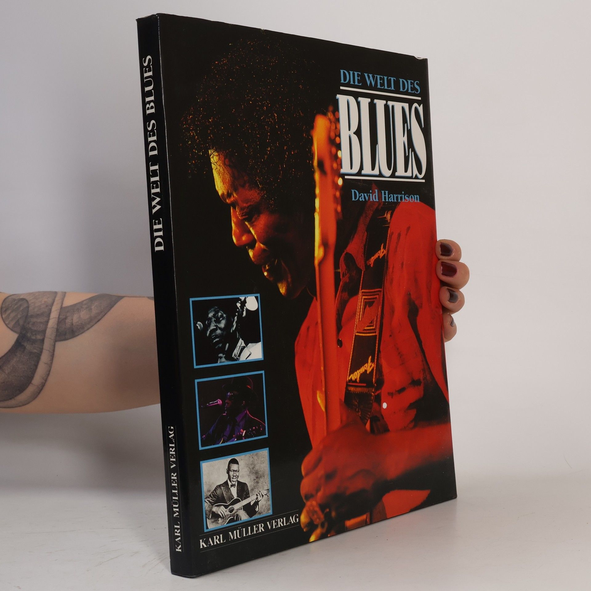 David Harrison Die Welt des Blues